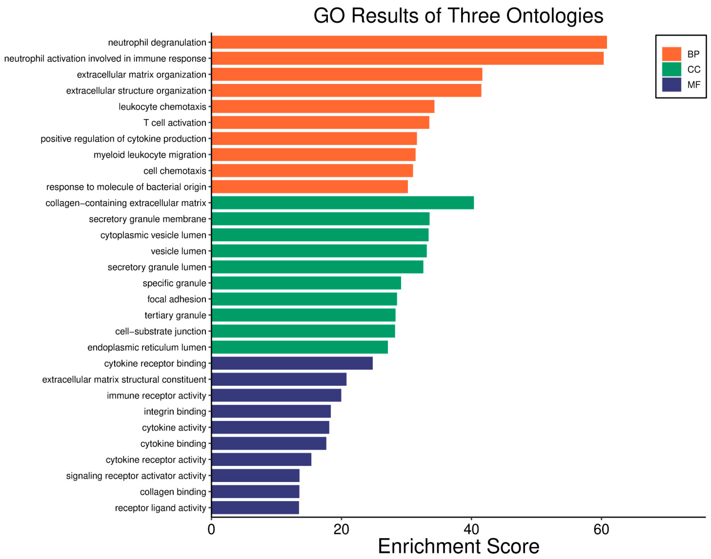 Biology 14 01151 g021
