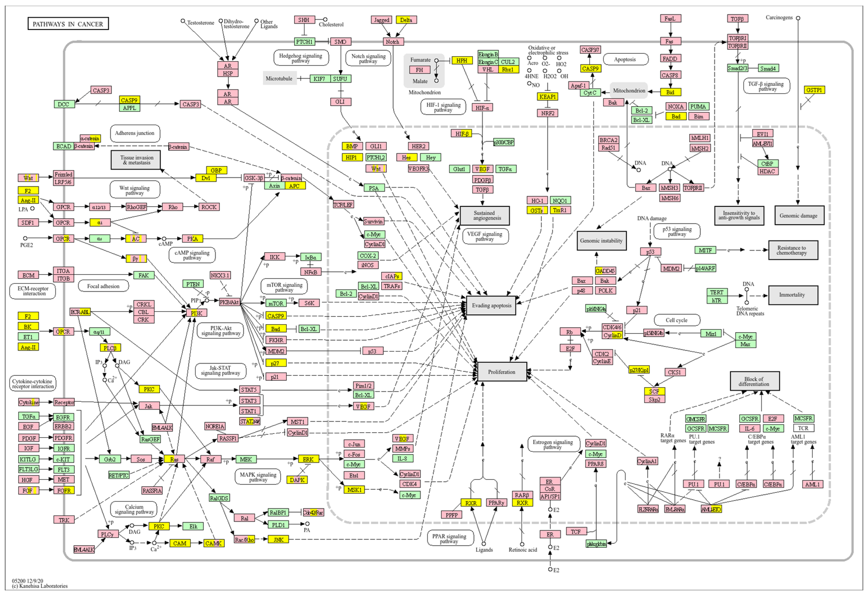 Biology 14 01151 g023