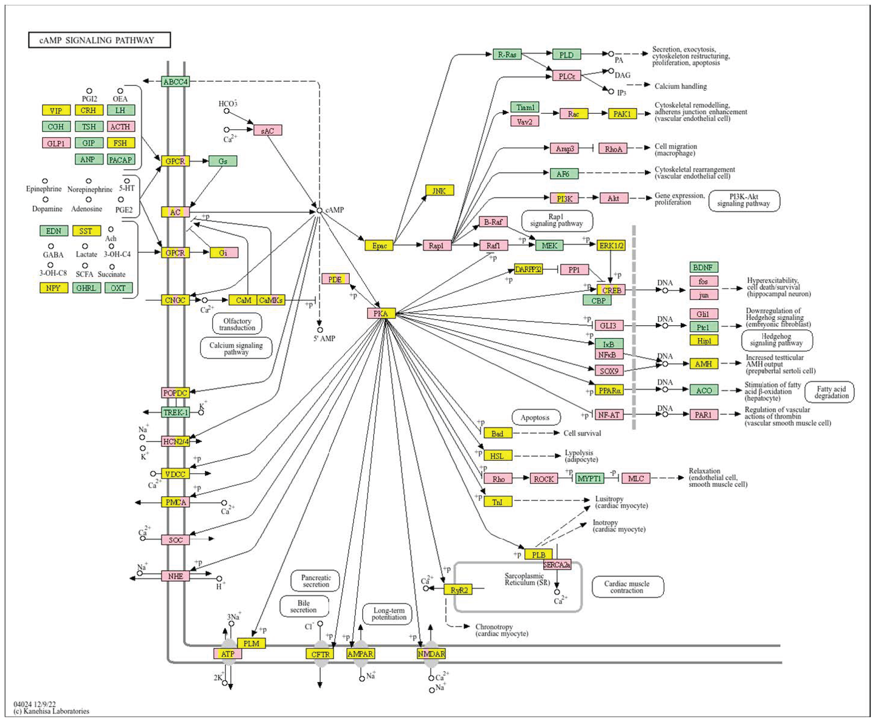 Biology 14 01151 g024