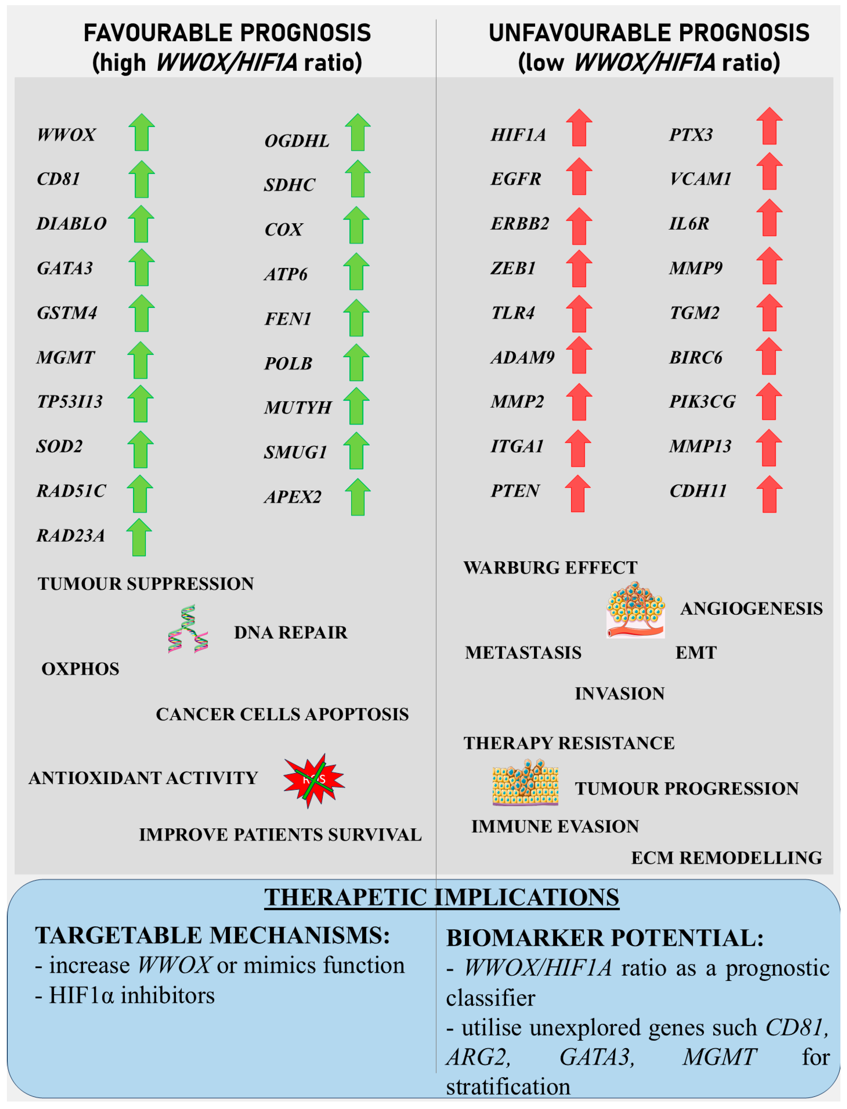 Biology 14 01151 g027