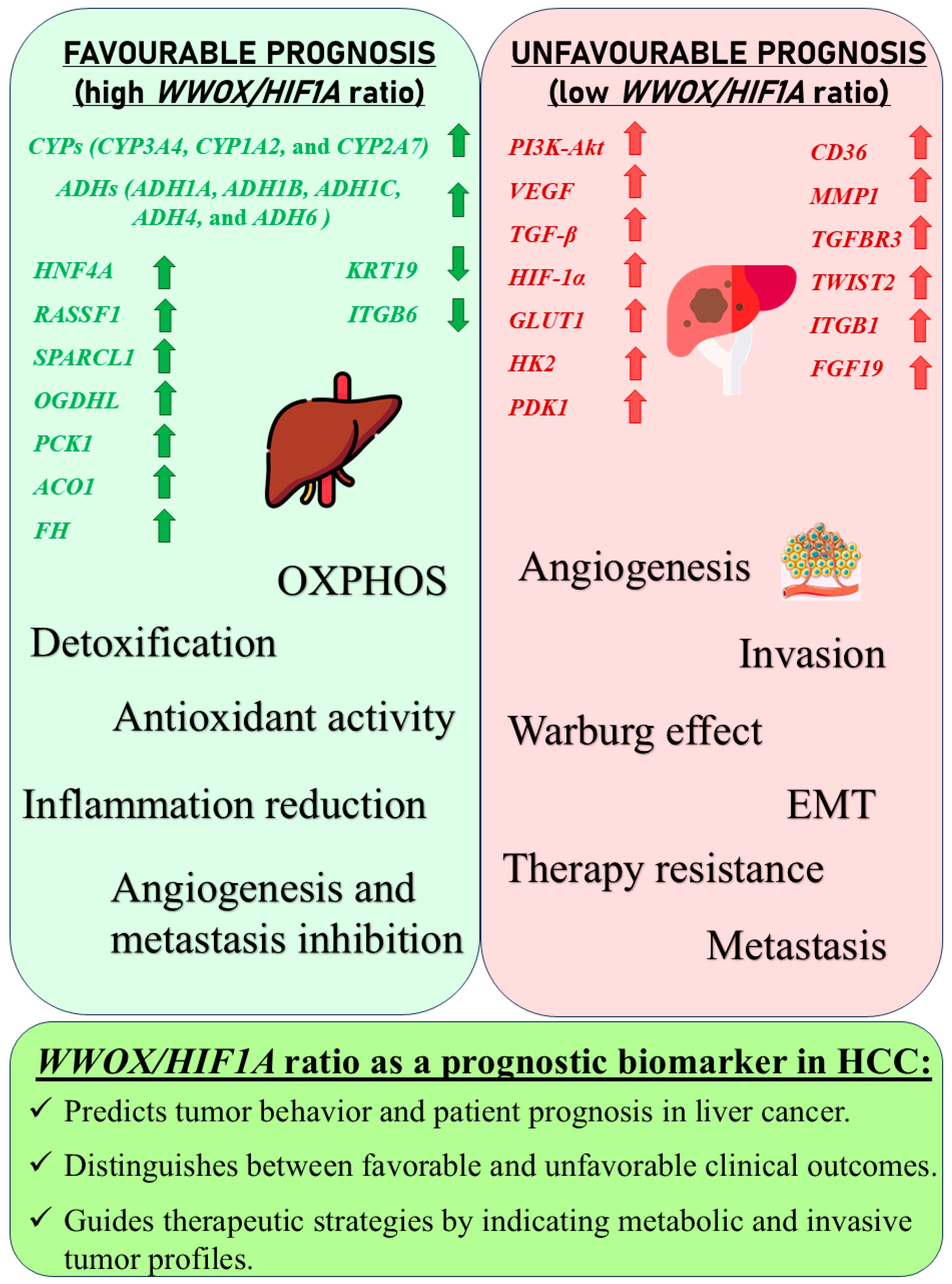Biology 14 01151 g028