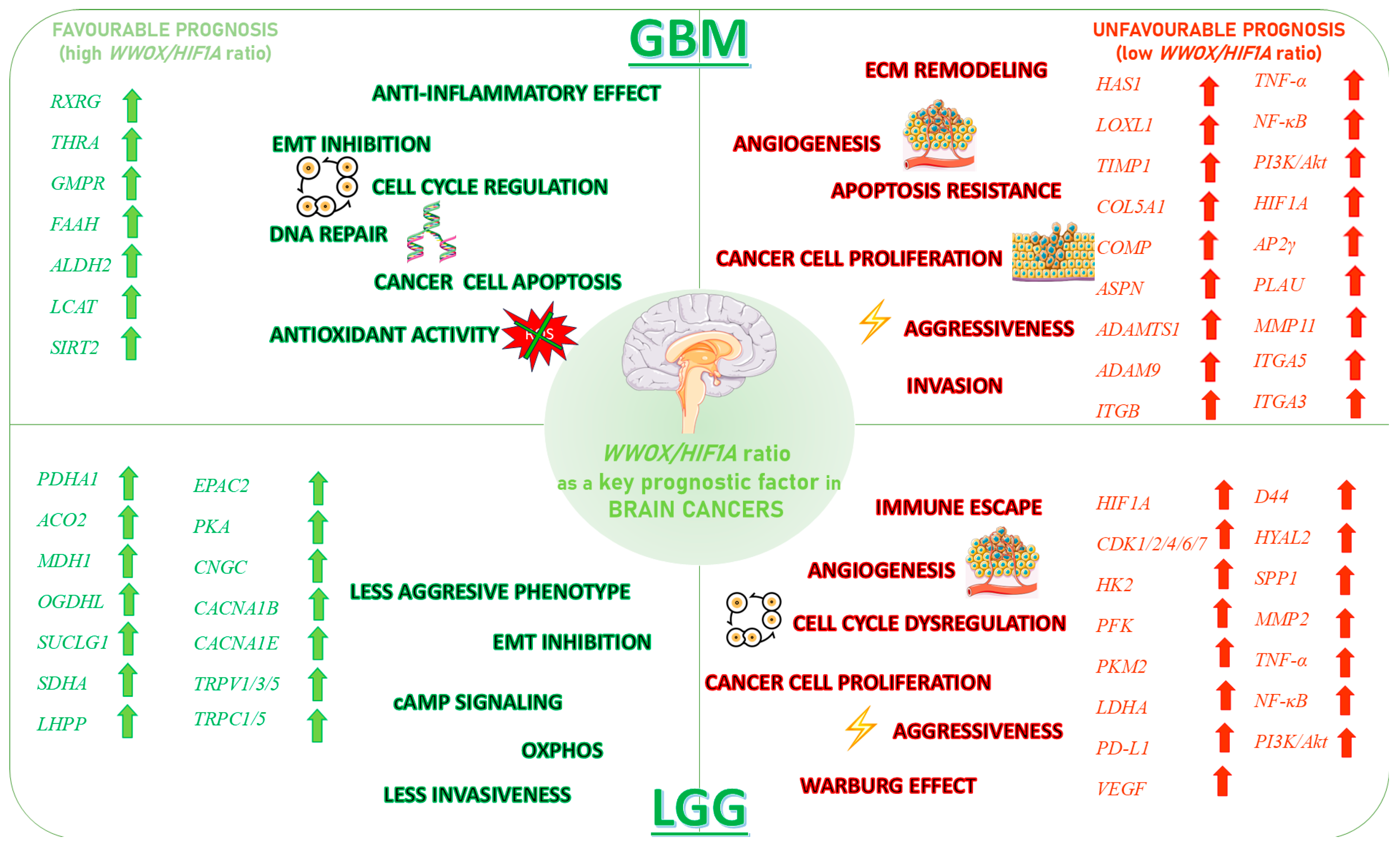 Biology 14 01151 g029