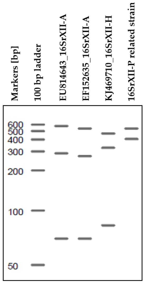 Biology 14 01152 g0a1