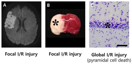 Biology 14 01153 g001