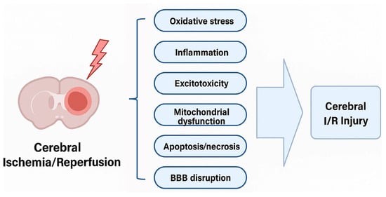 Biology 14 01153 g002