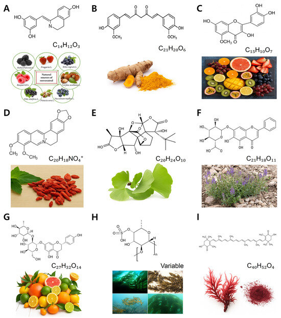 Biology 14 01153 g003