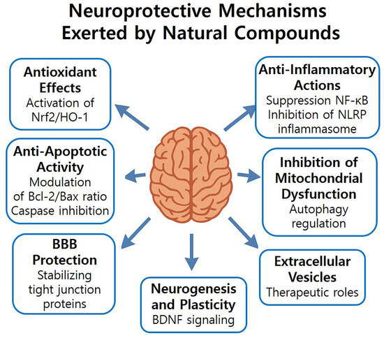 Biology 14 01153 g004