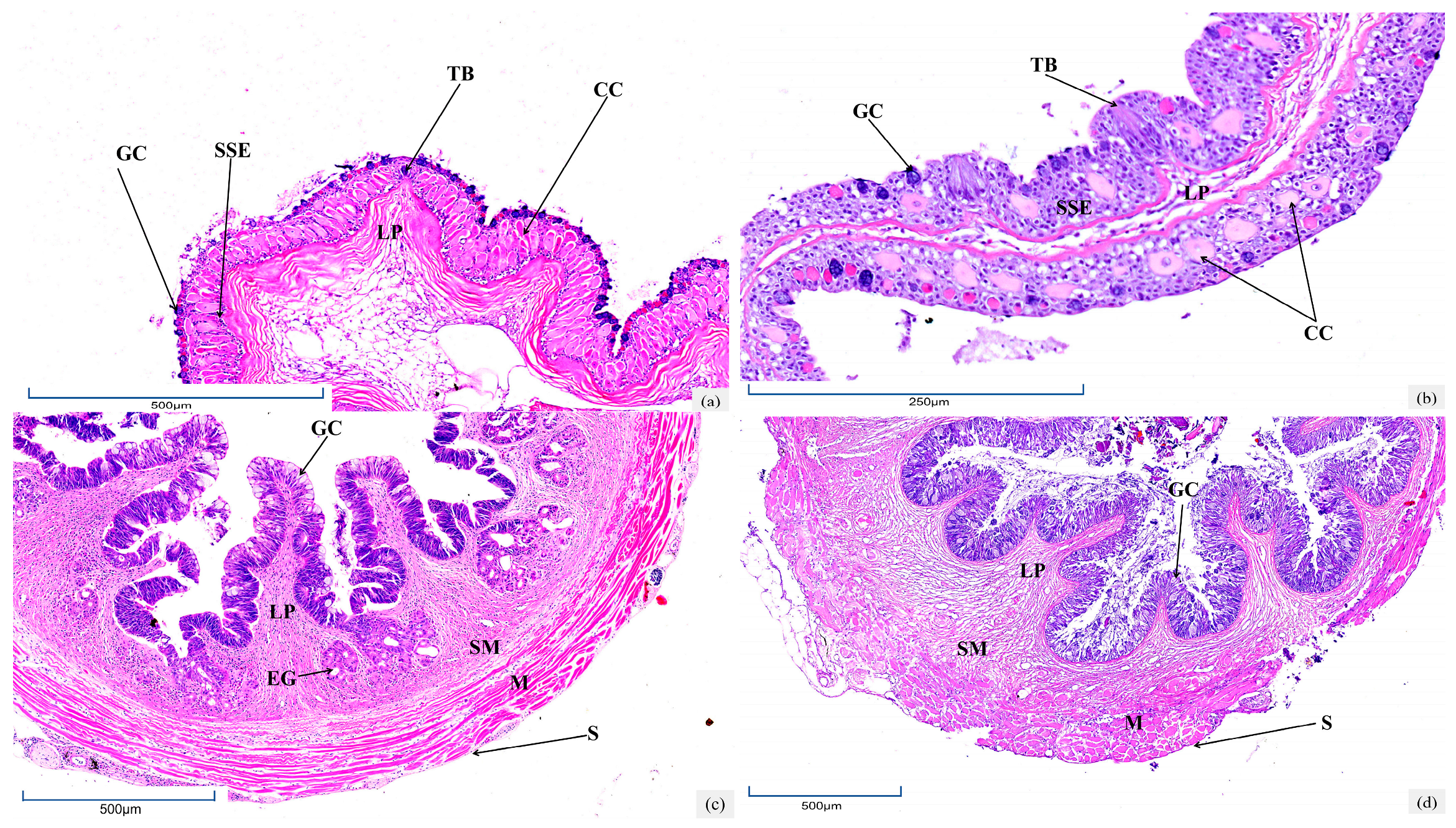 Biology 14 01187 g001a