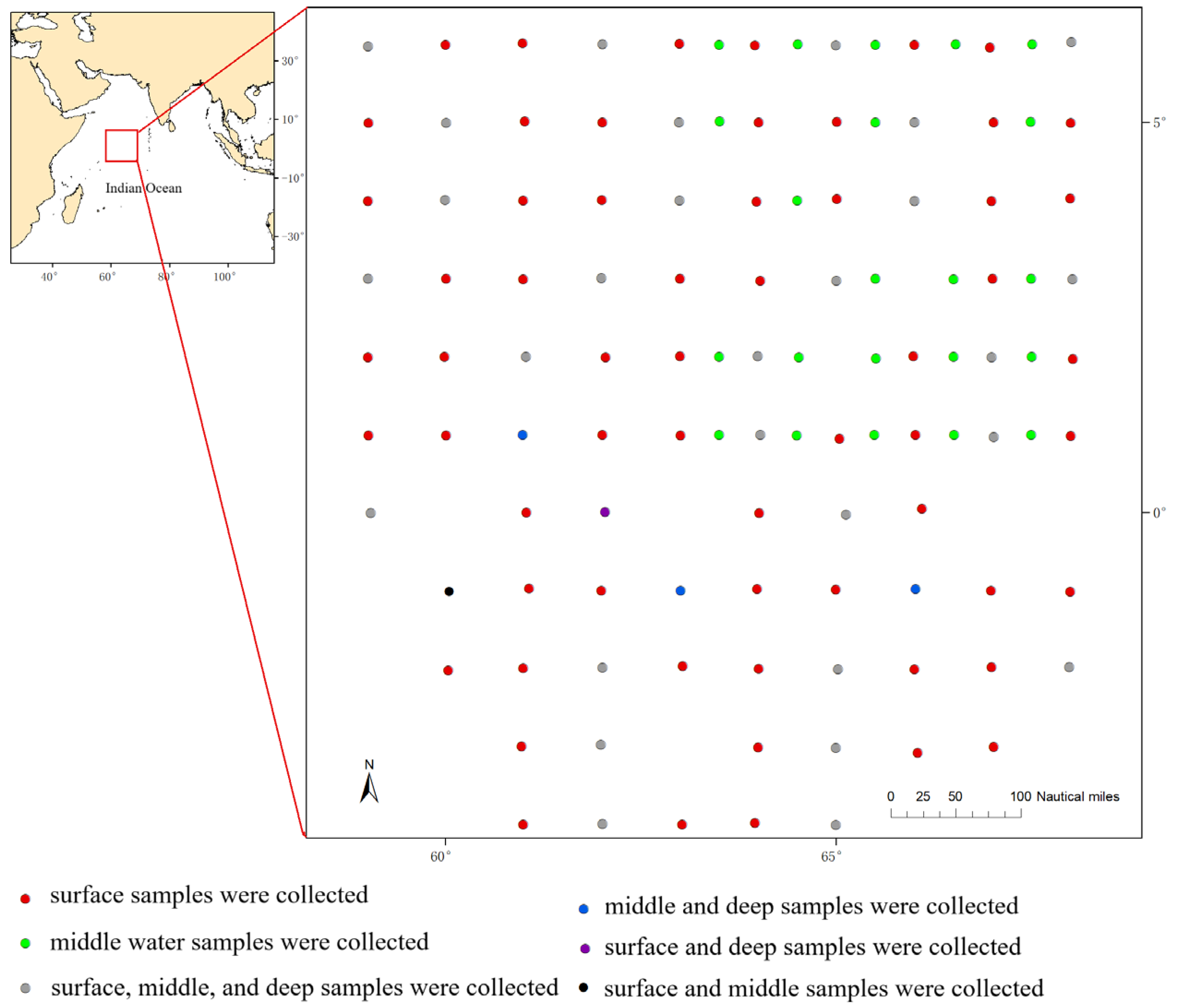 Biology 14 01194 g001