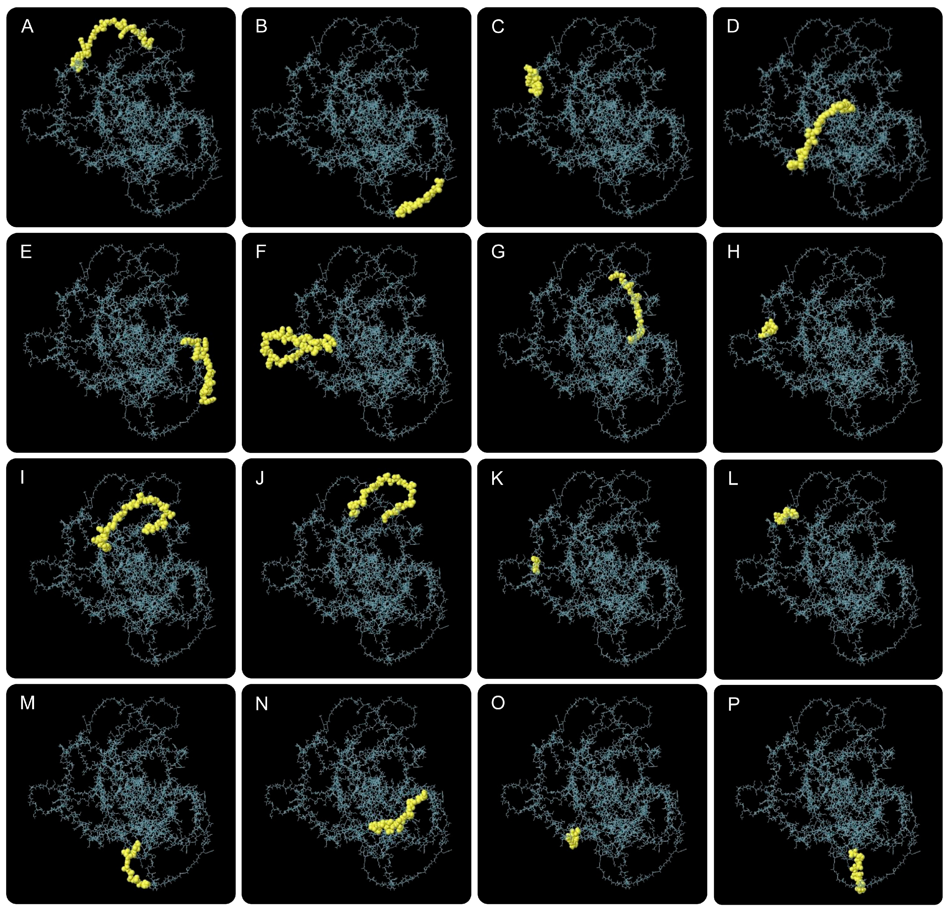 Biology 14 01196 g003