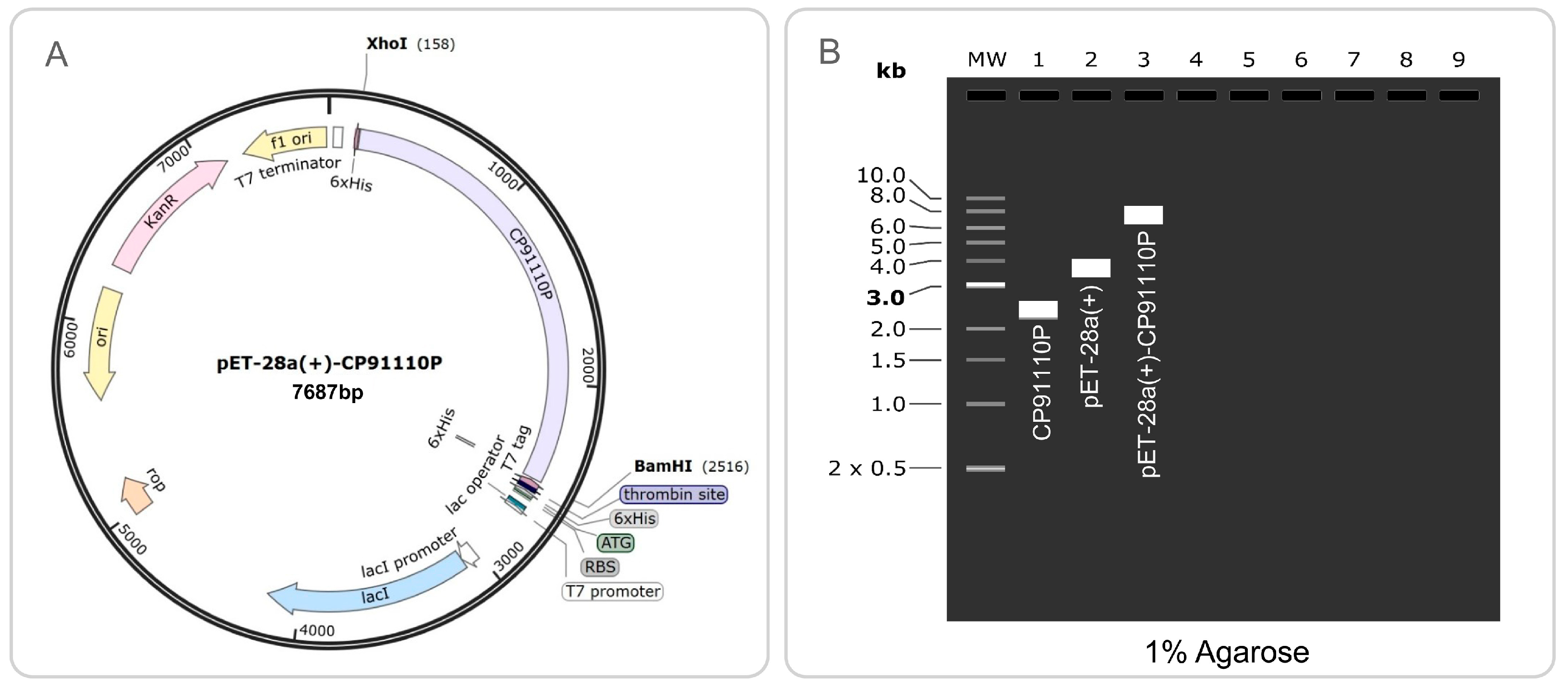 Biology 14 01196 g010