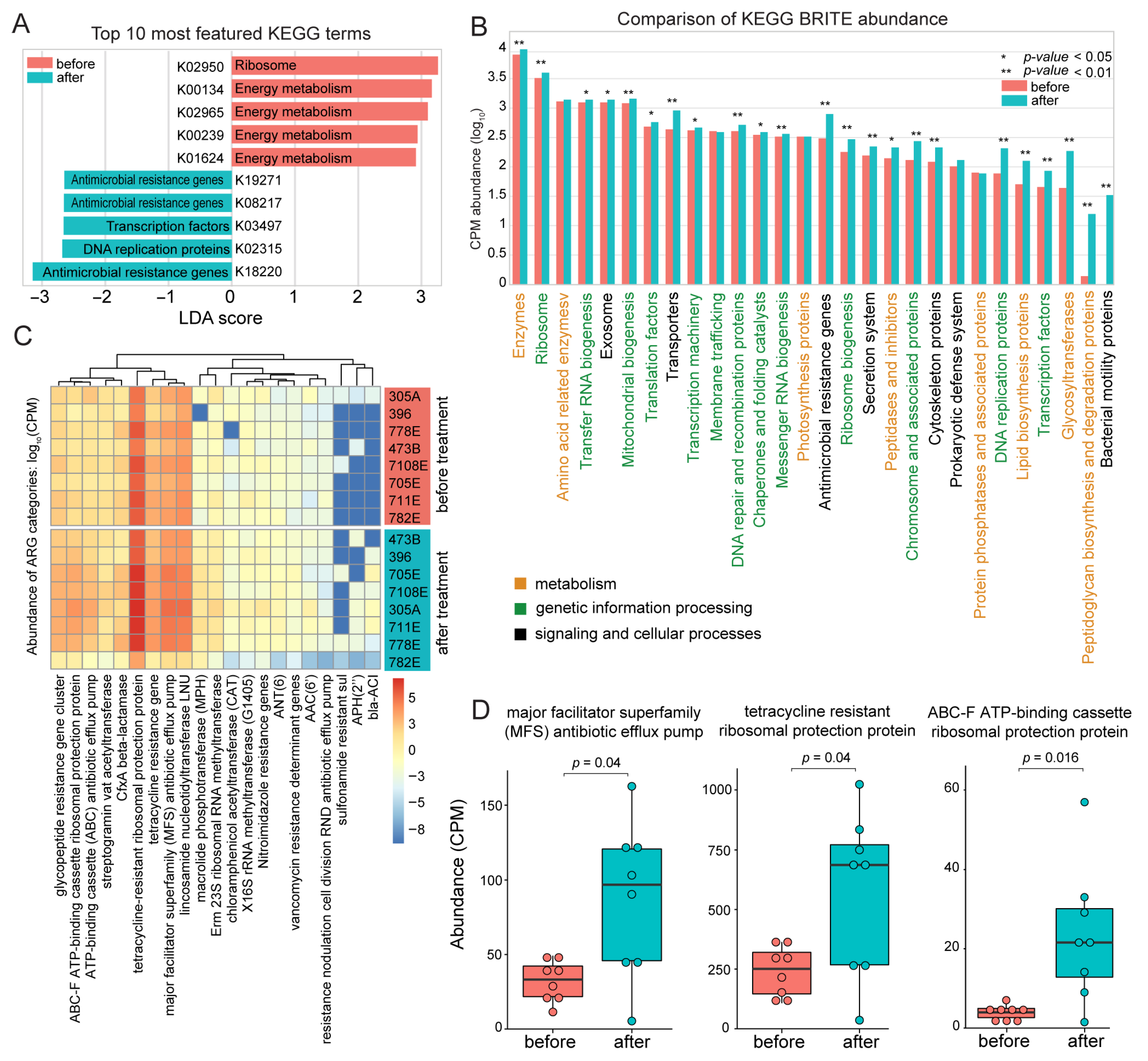 Biology 14 01197 g007