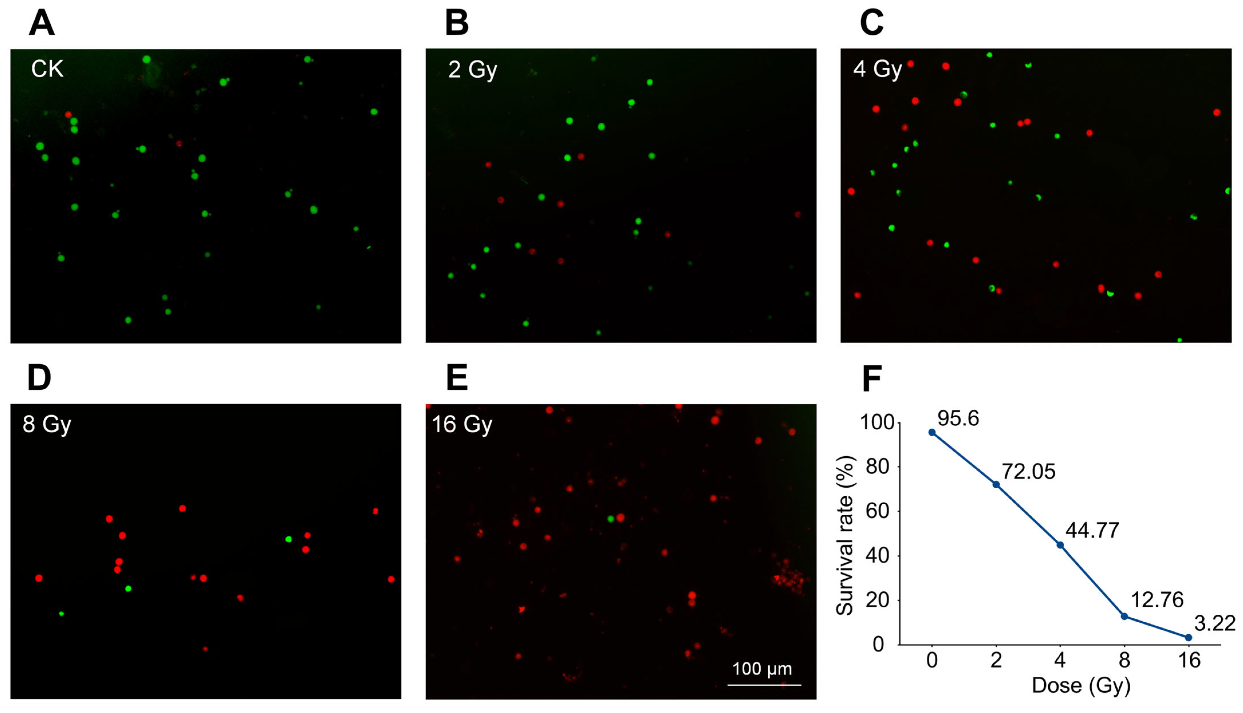 Biology 14 01218 g001