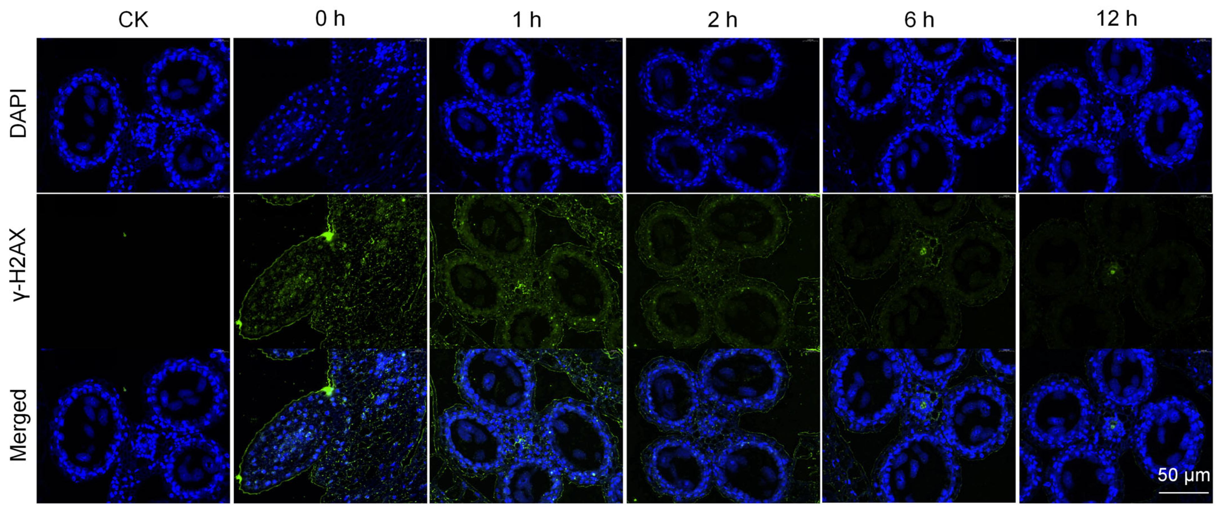 Biology 14 01218 g002