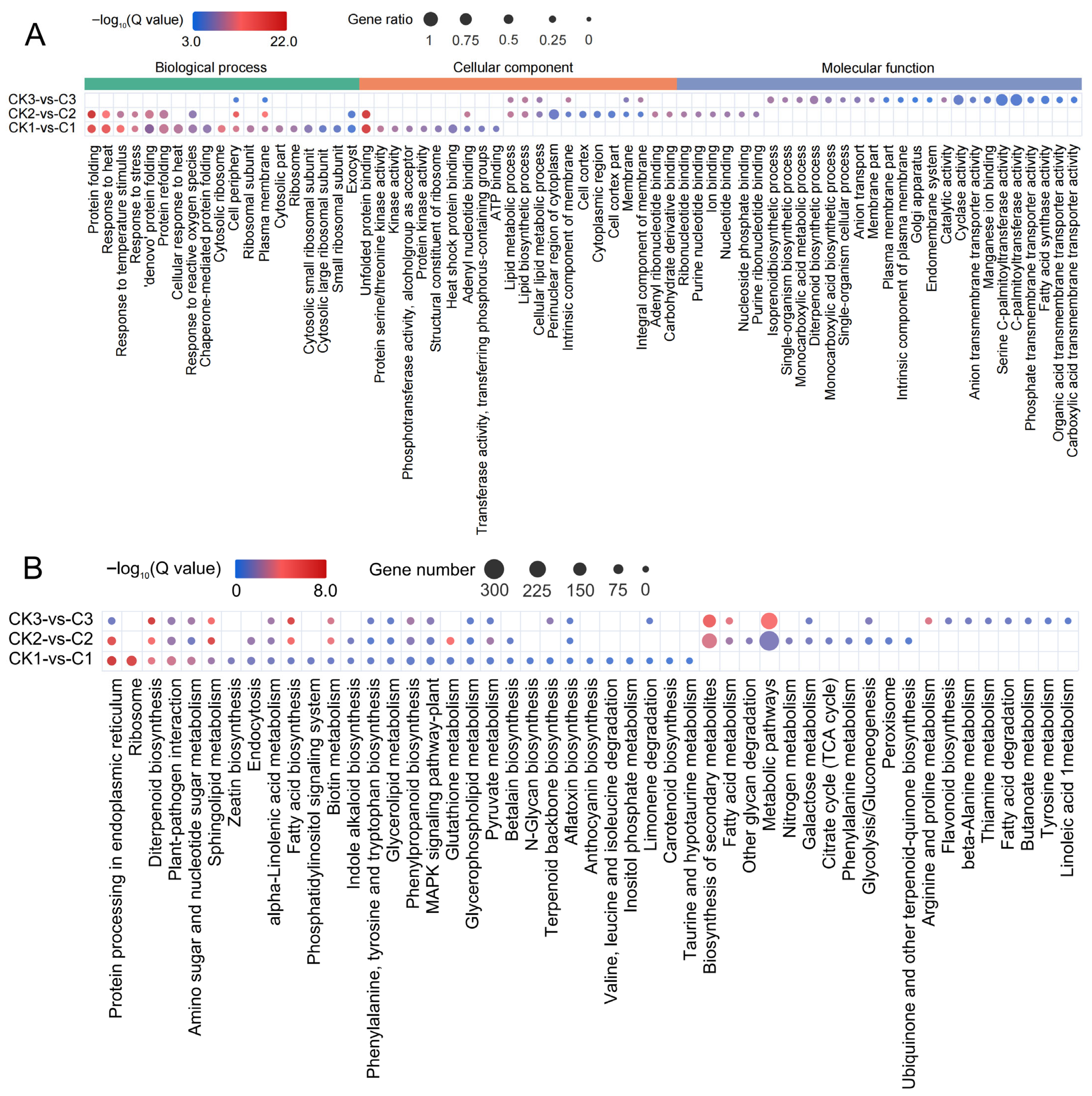 Biology 14 01218 g004