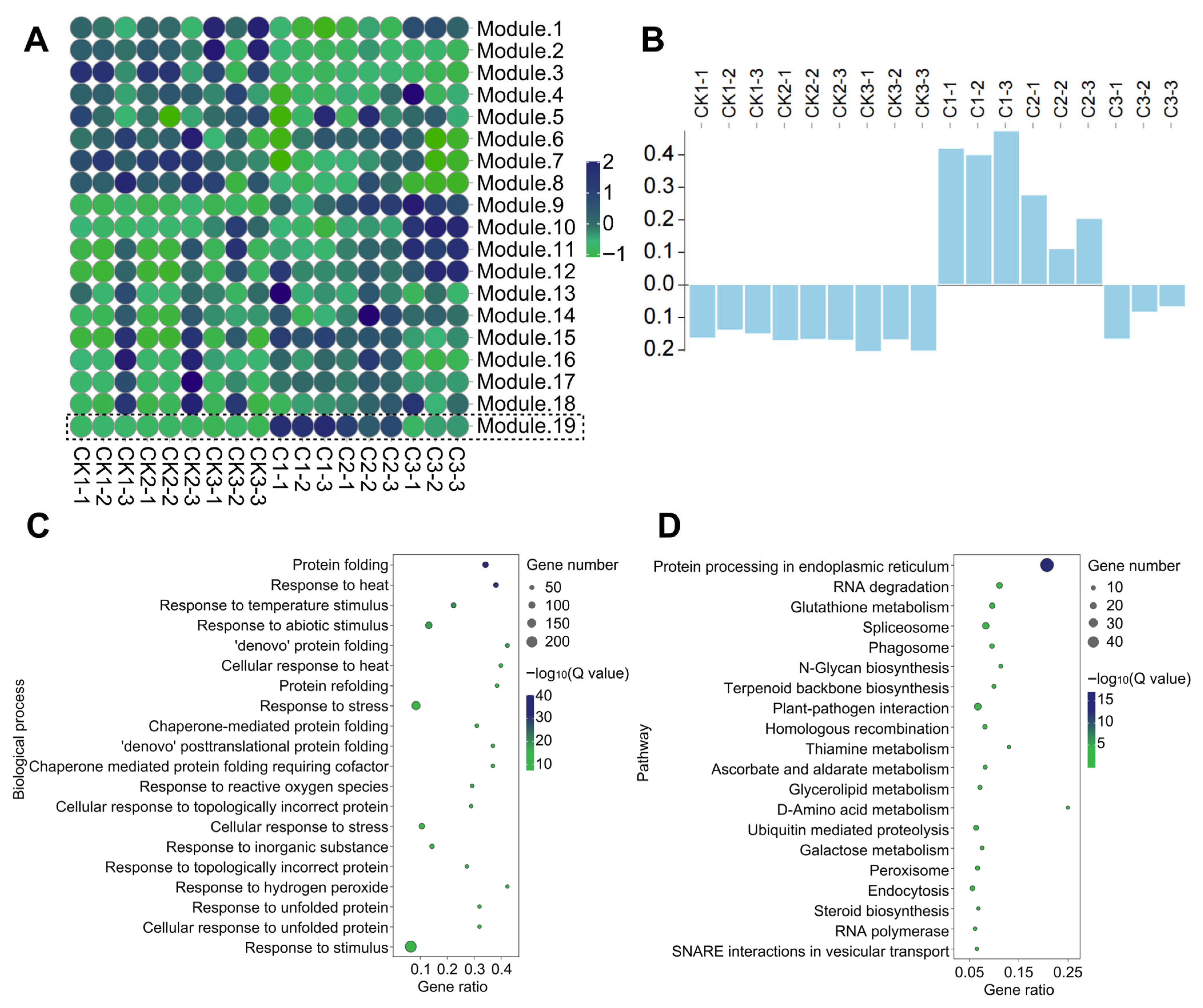 Biology 14 01218 g005