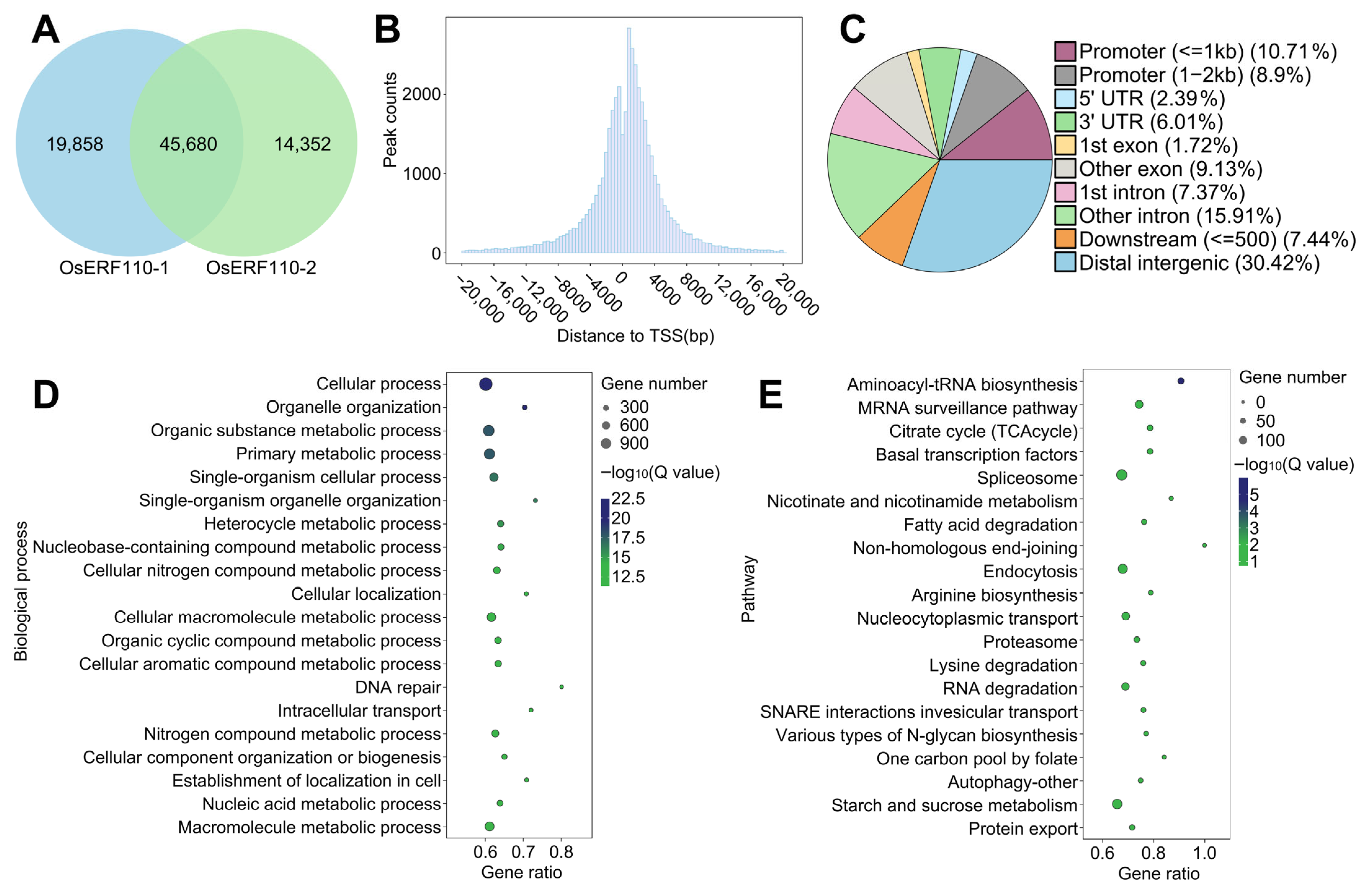 Biology 14 01218 g008