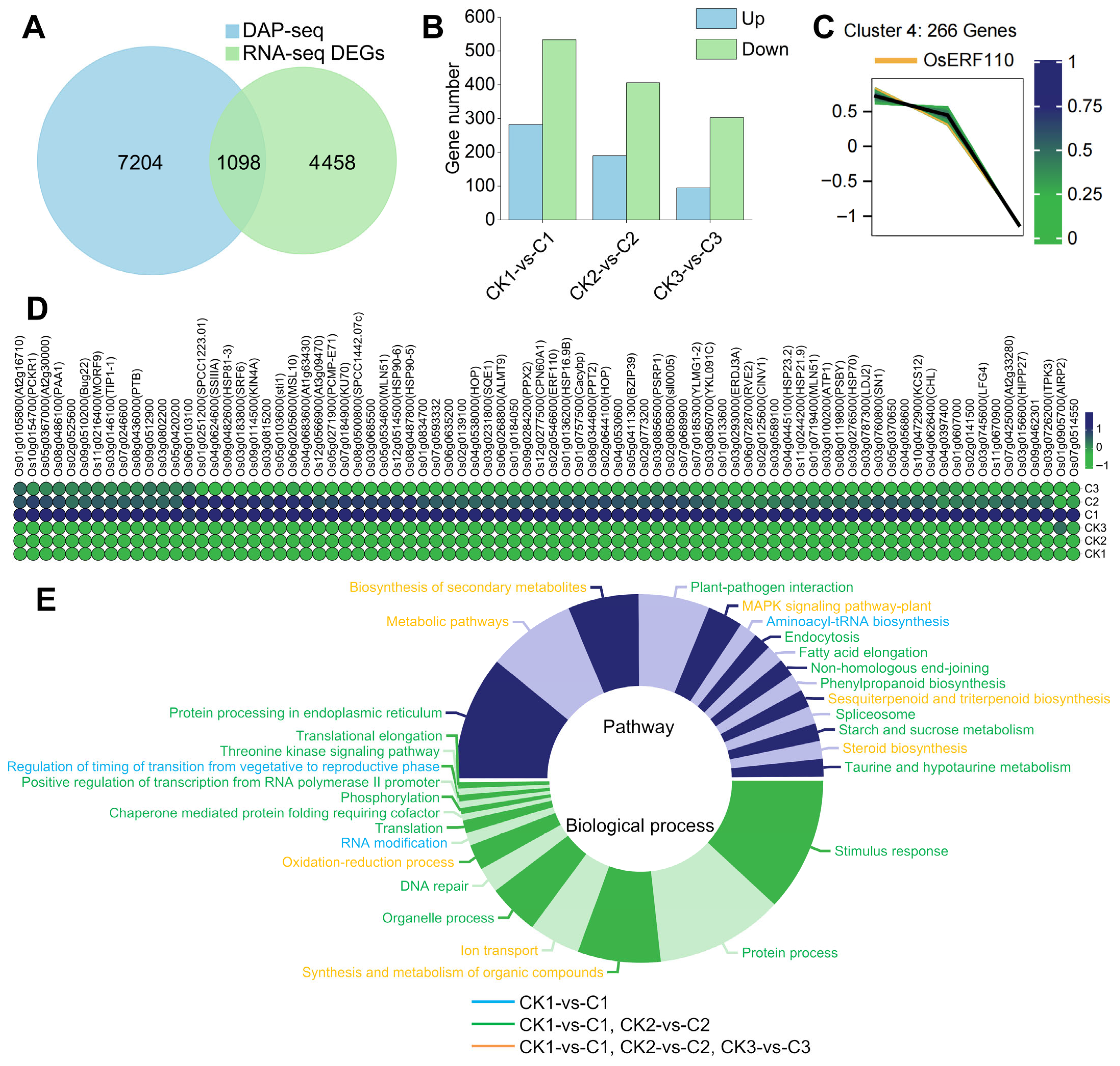 Biology 14 01218 g009