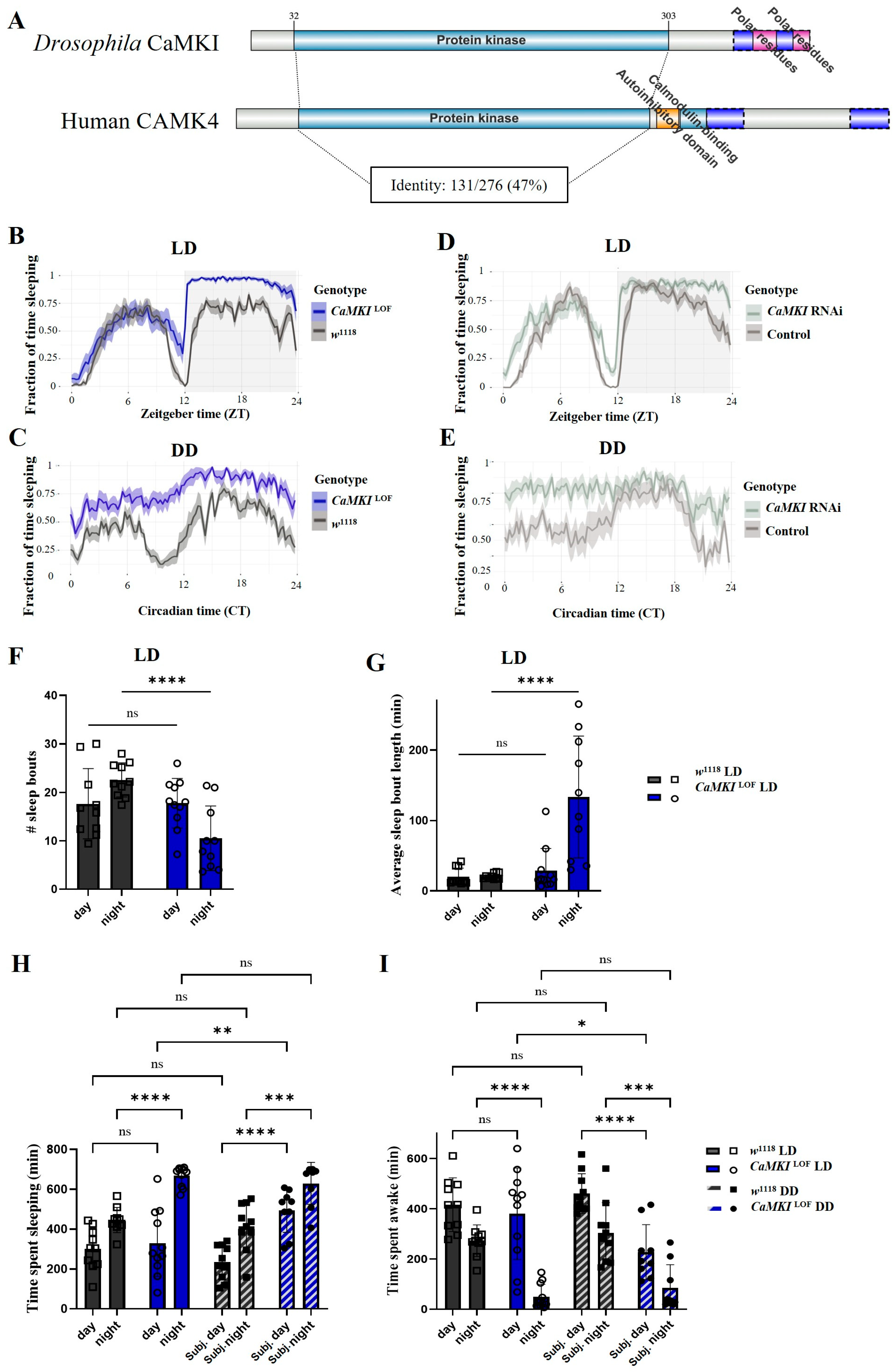 Biology 14 01228 g001