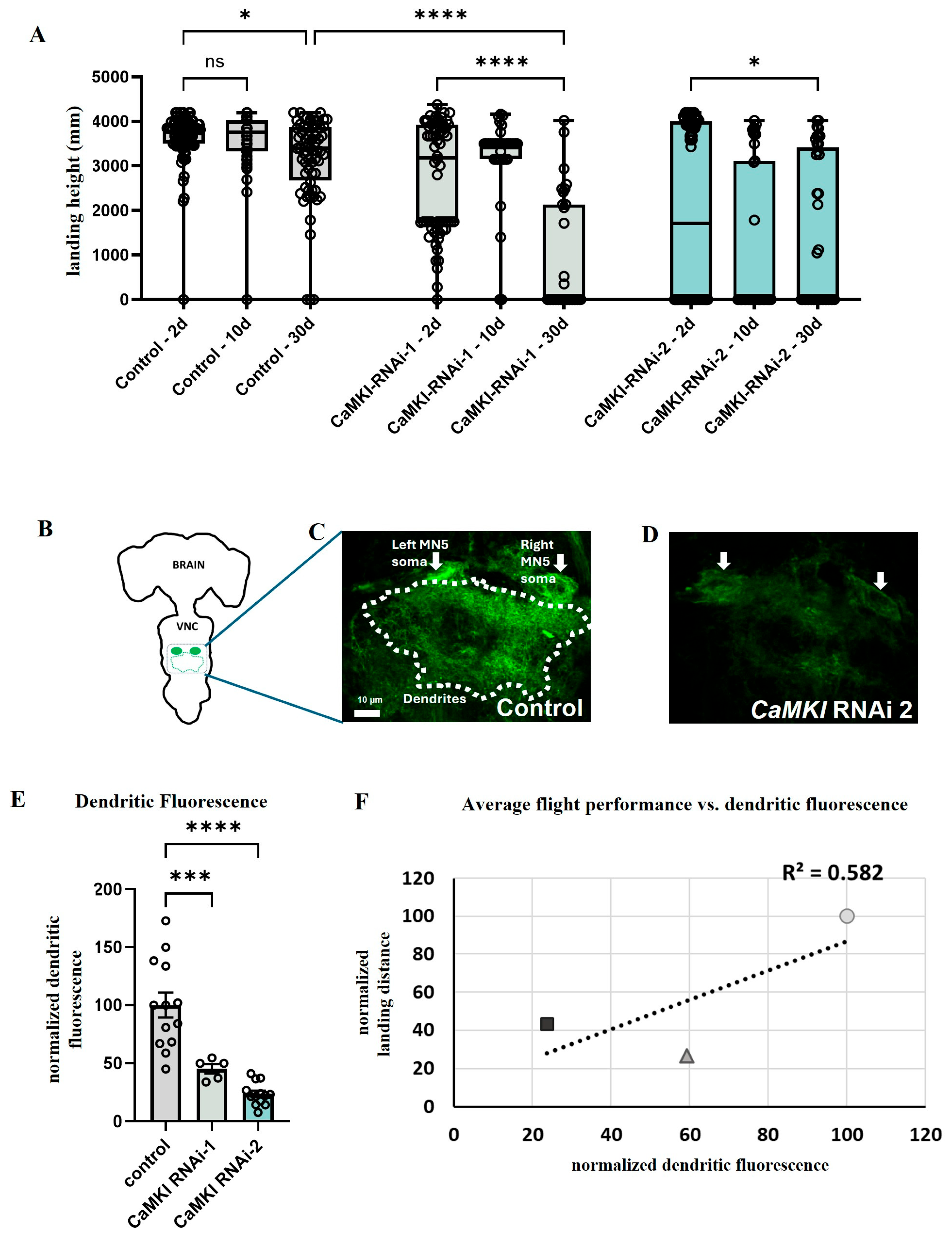 Biology 14 01228 g004