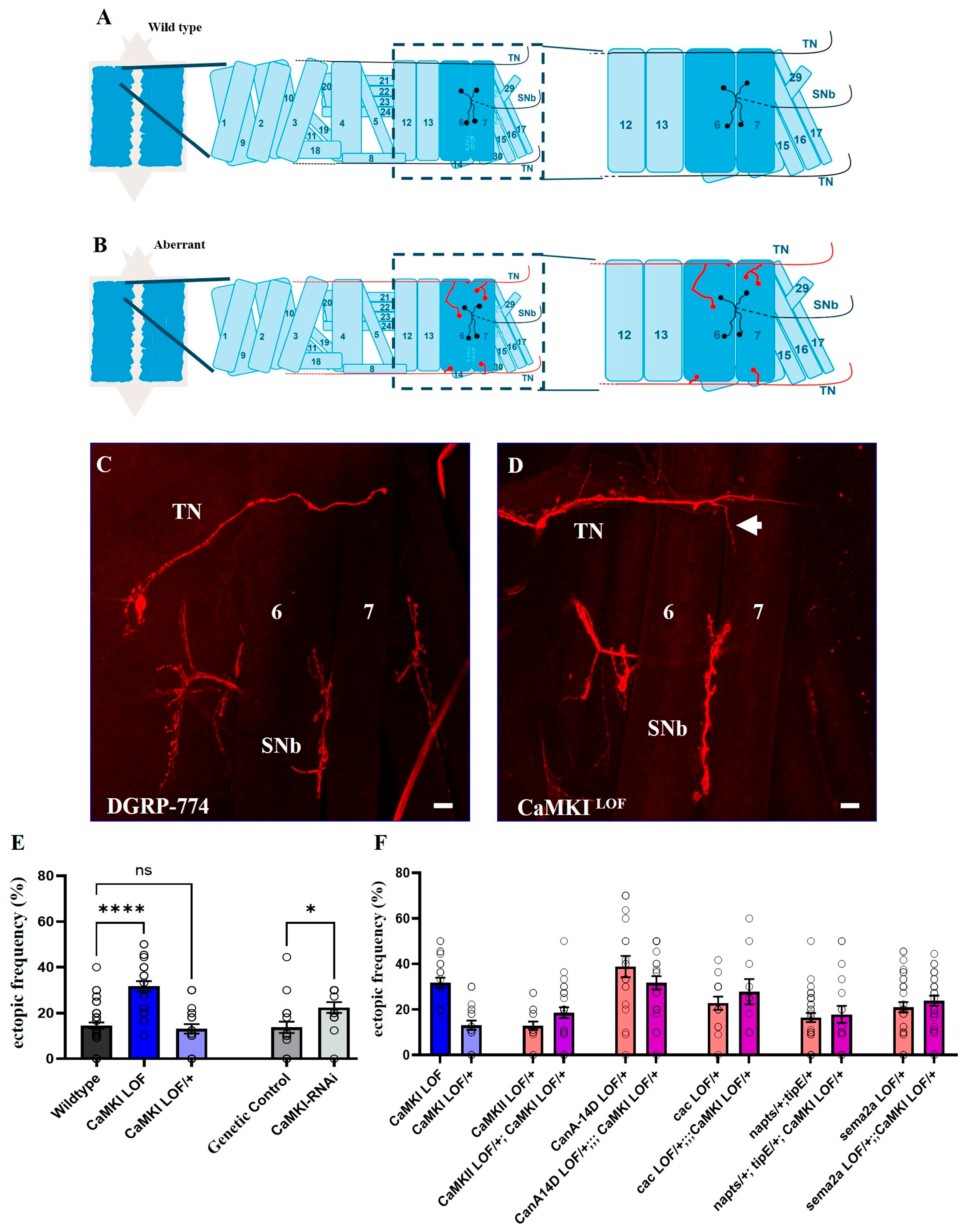 Biology 14 01228 g005