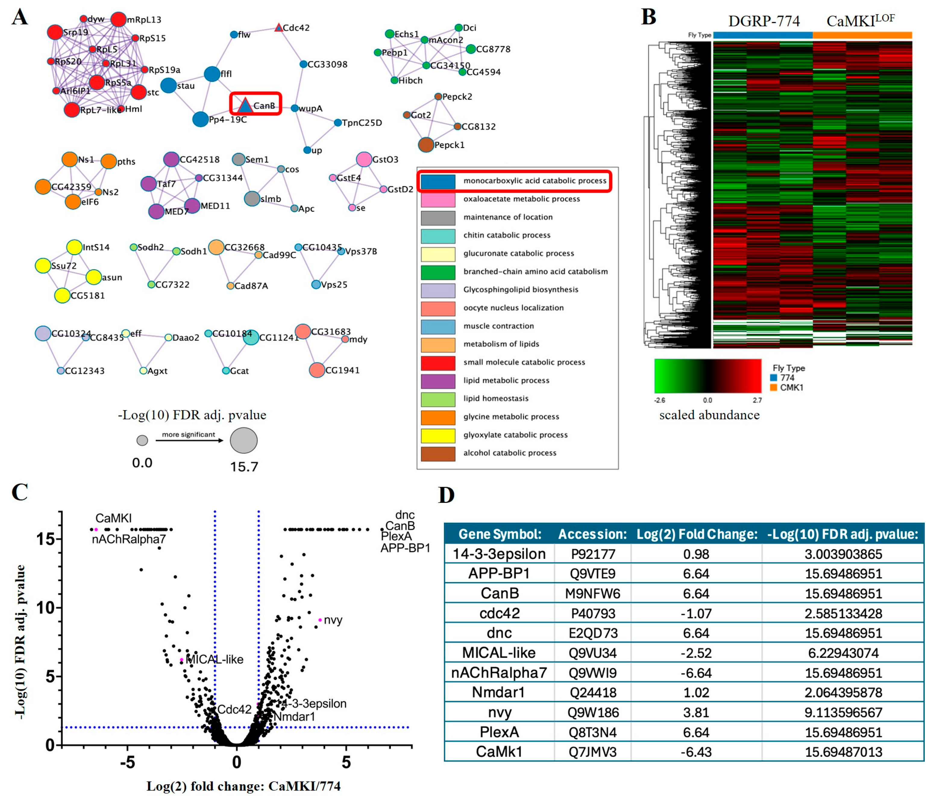 Biology 14 01228 g006