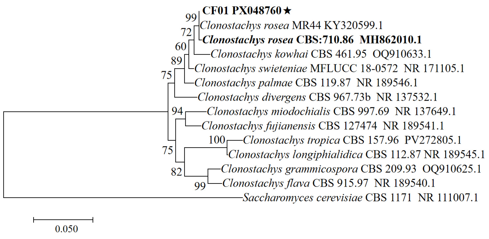 Biology 14 01240 g002 Biology 14 01240 g002