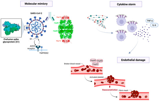 Biology 14 01281 g001