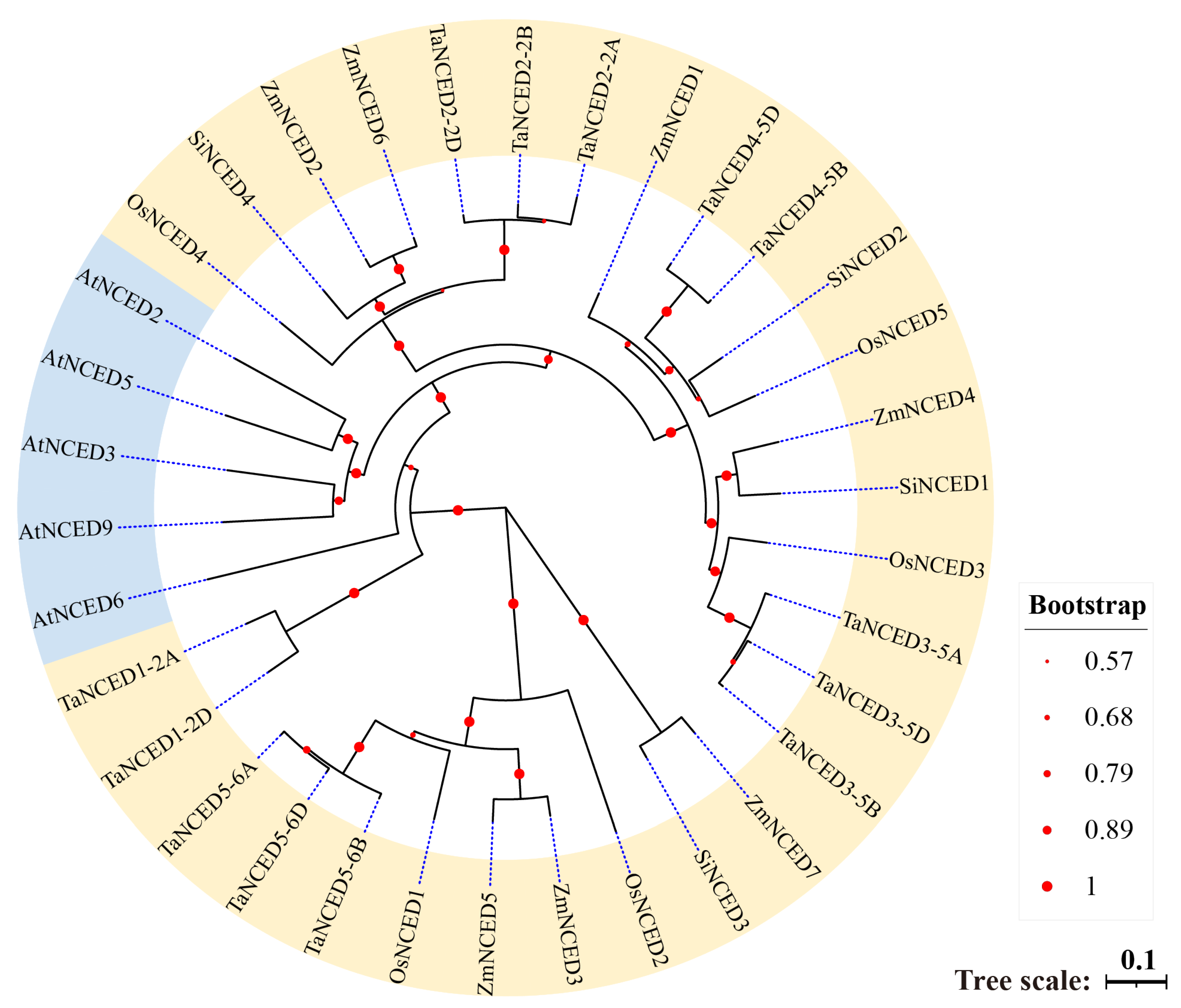 Biology 14 01293 g001