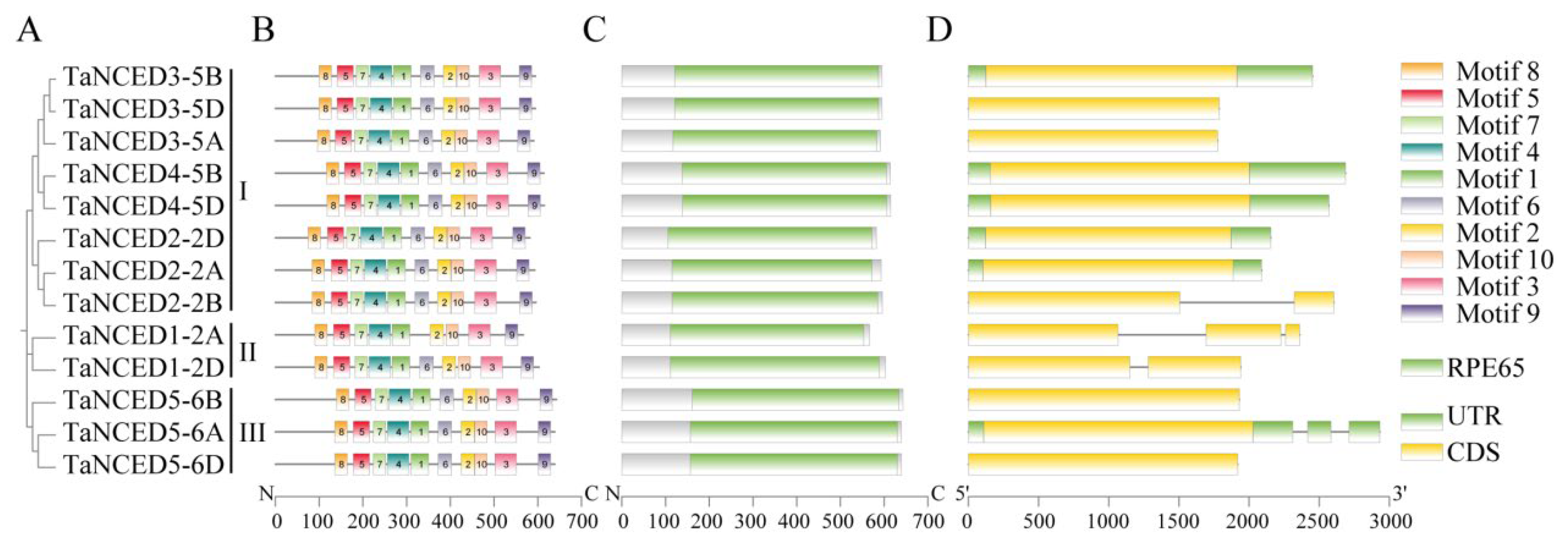 Biology 14 01293 g002