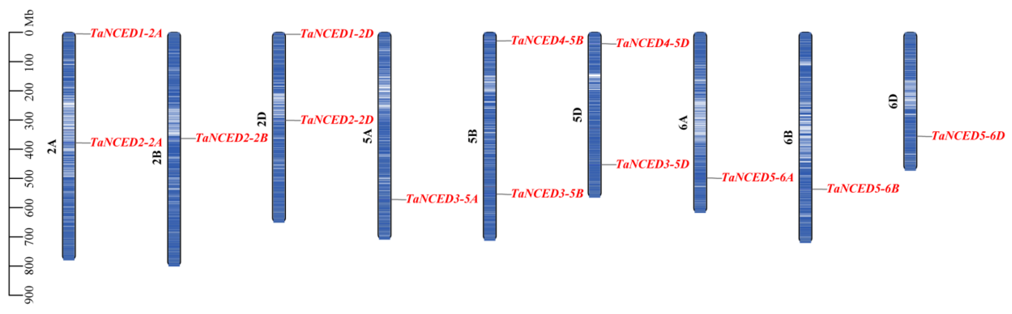 Biology 14 01293 g003