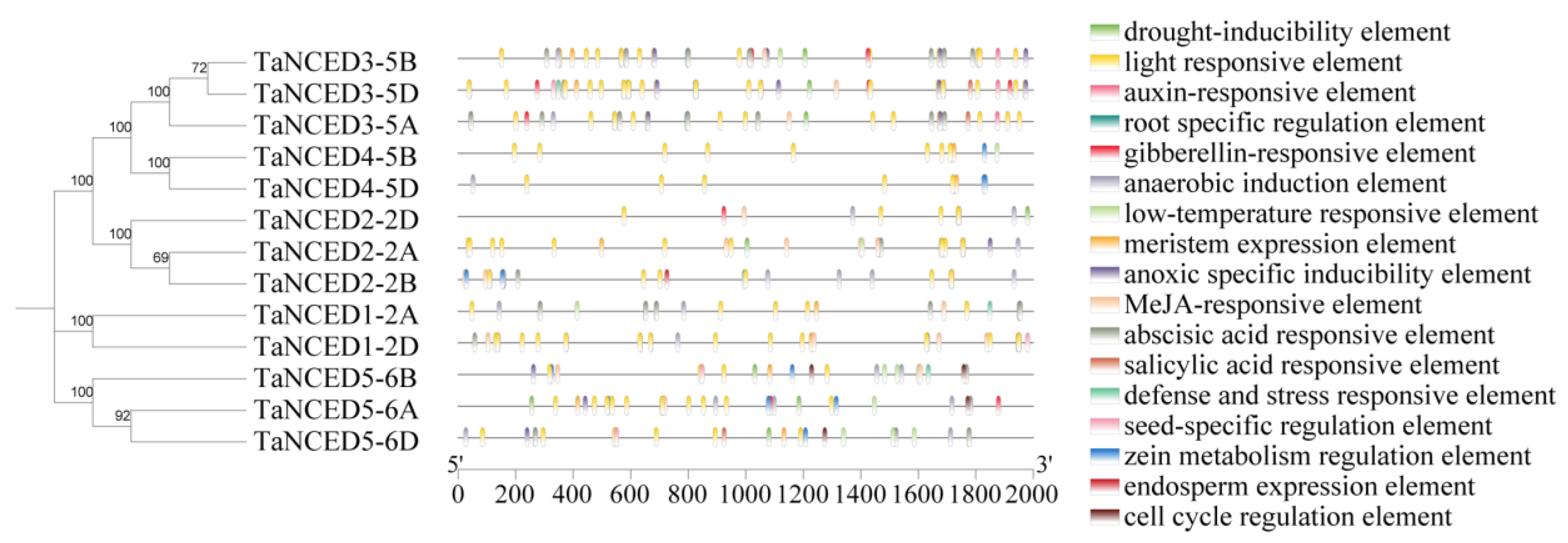 Biology 14 01293 g004