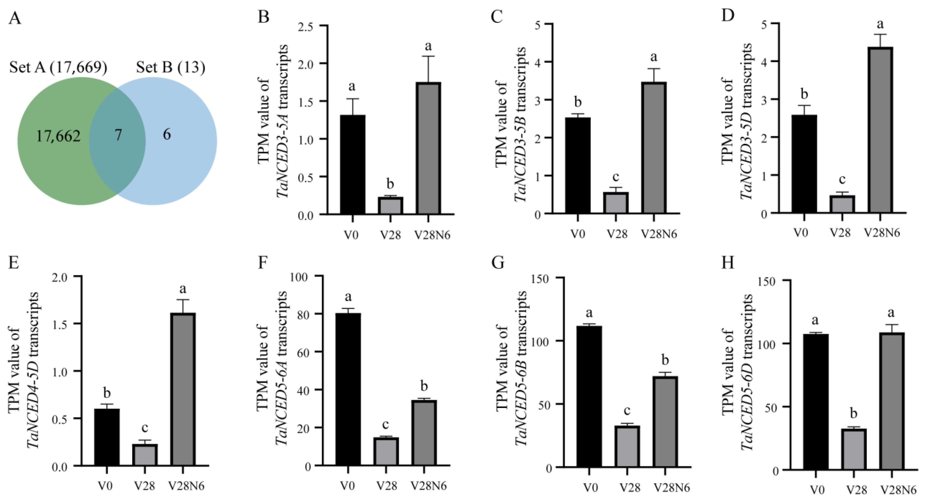 Biology 14 01293 g005