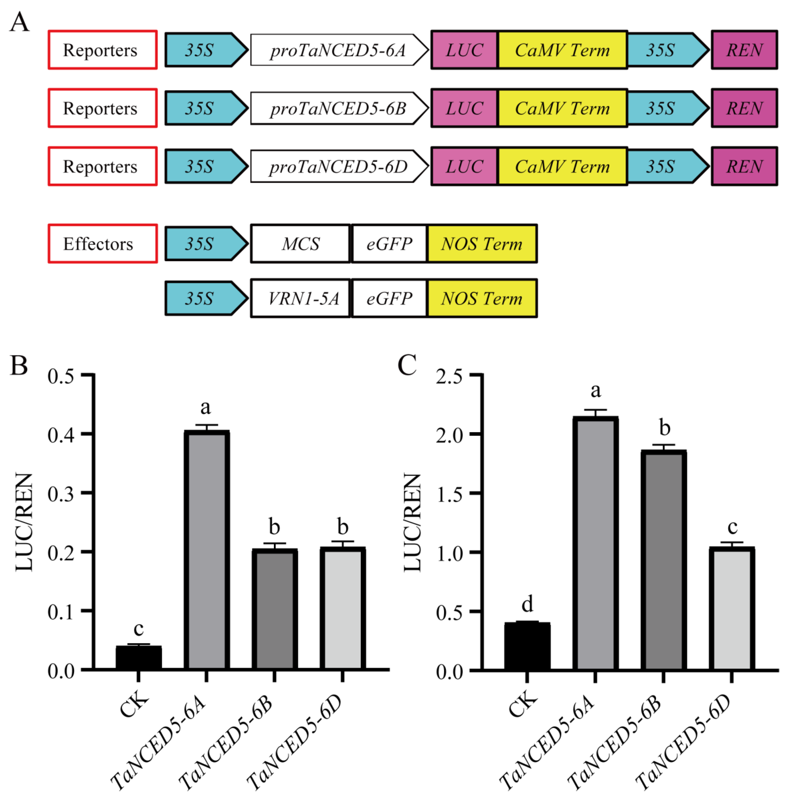 Biology 14 01293 g007