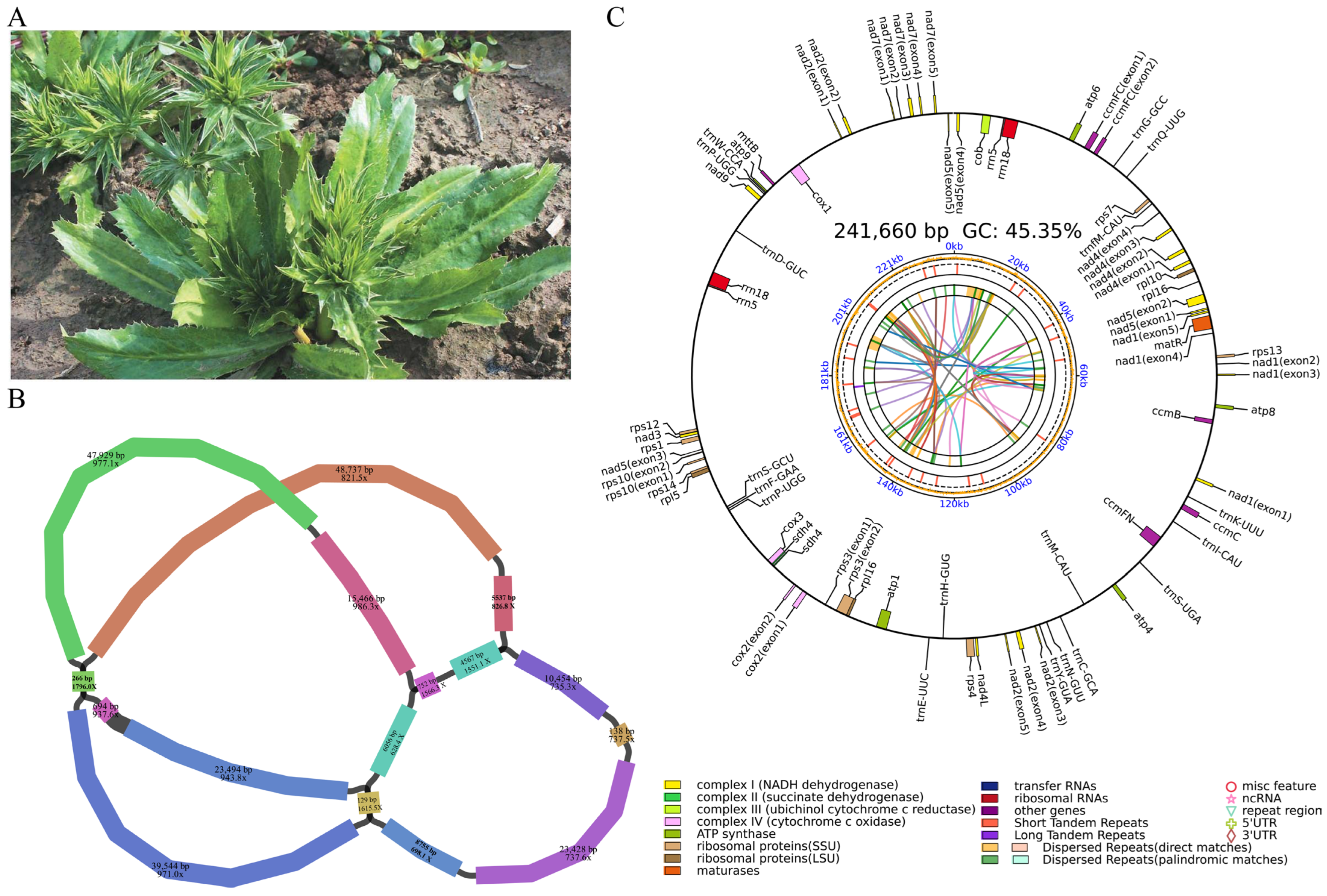 Biology 14 01296 g001