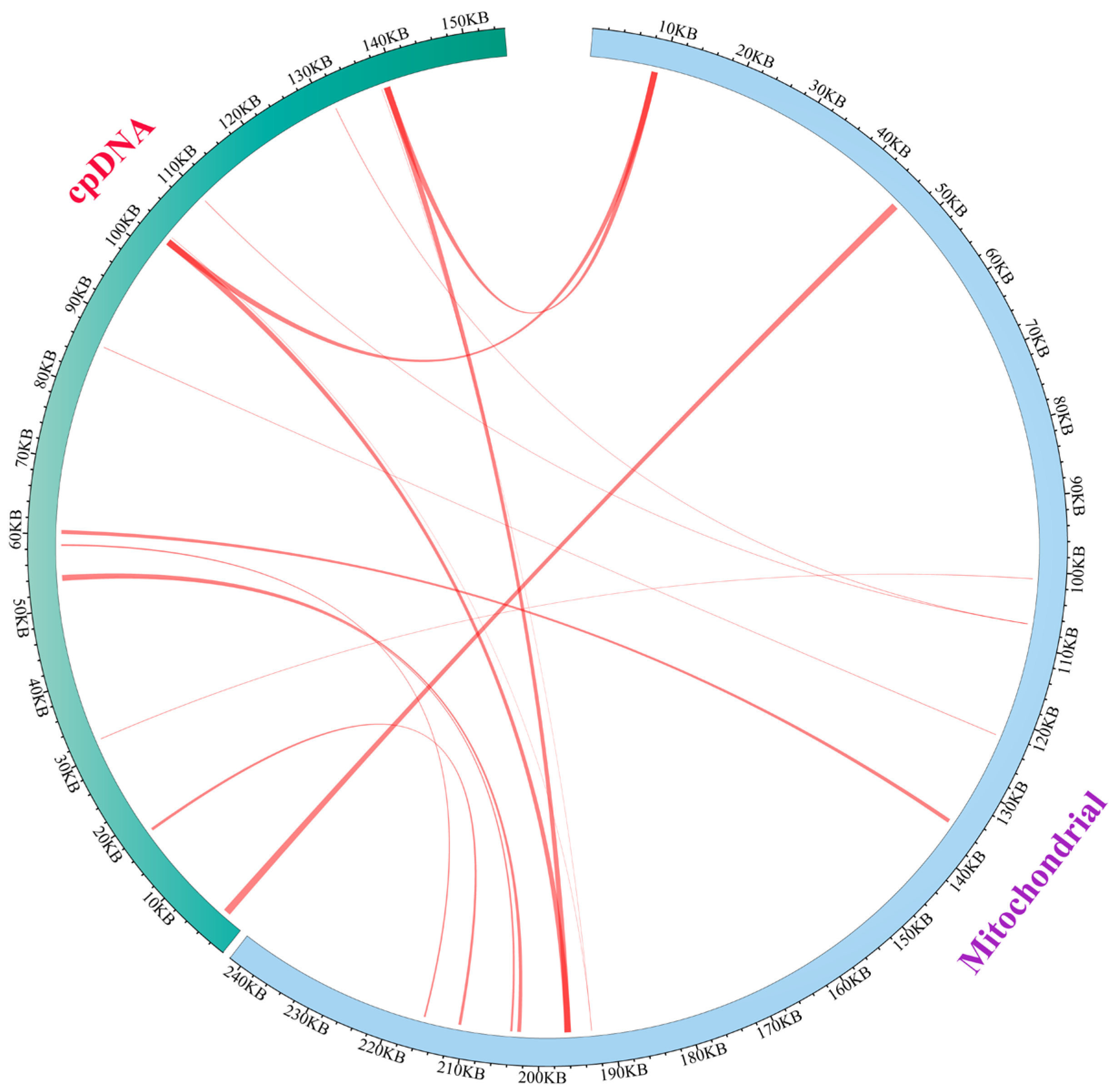 Biology 14 01296 g003