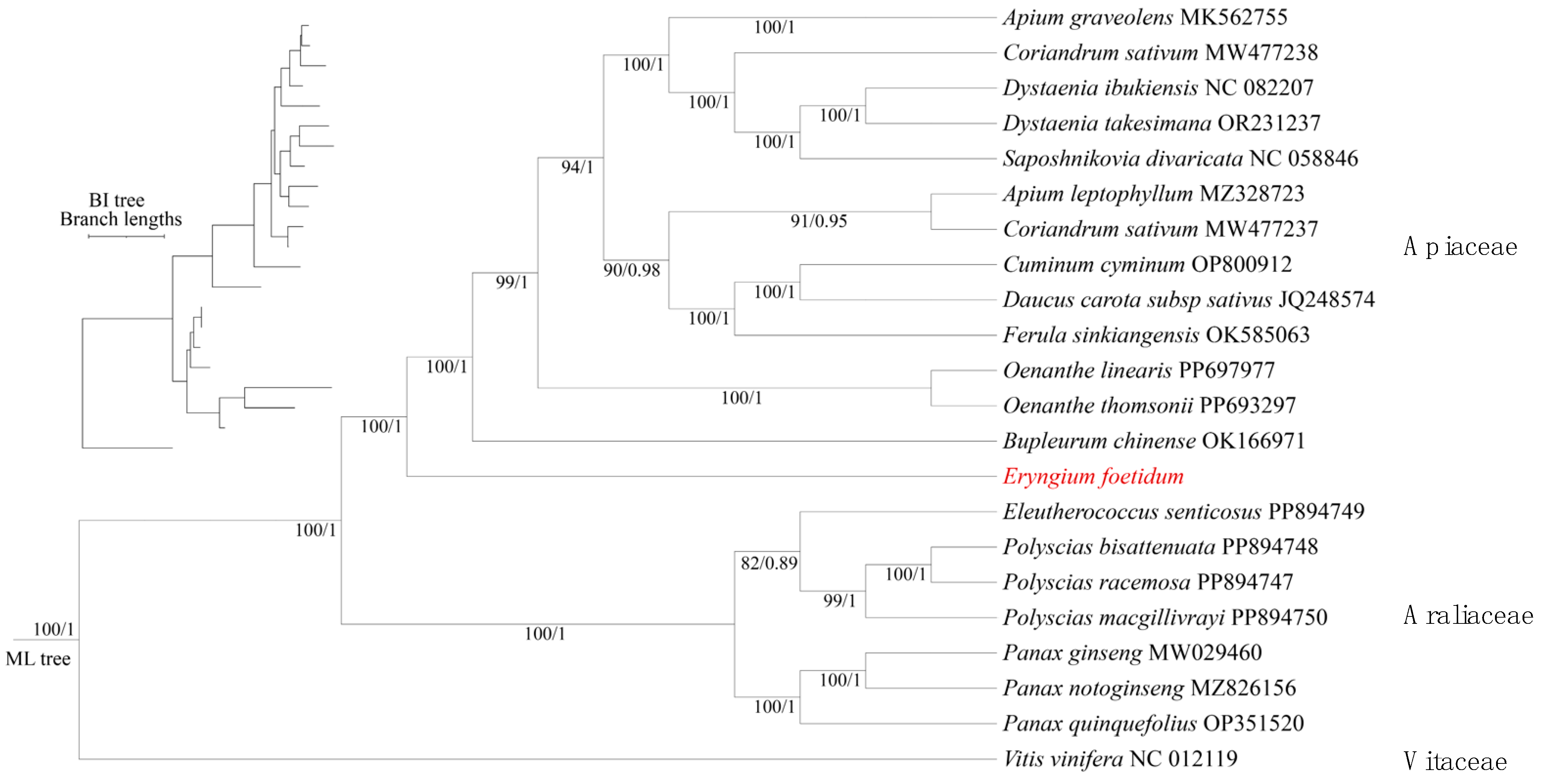 Biology 14 01296 g007