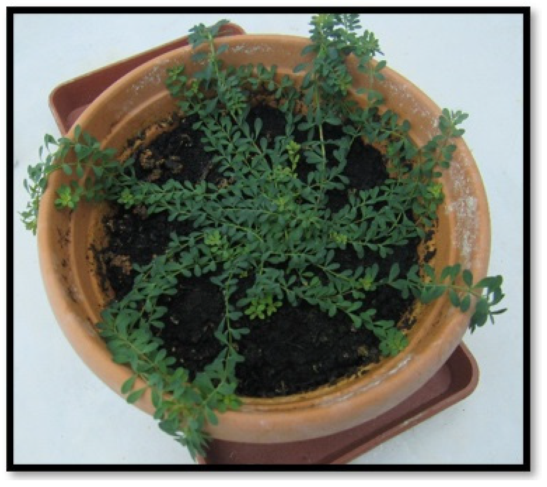 Biology 14 01302 g002