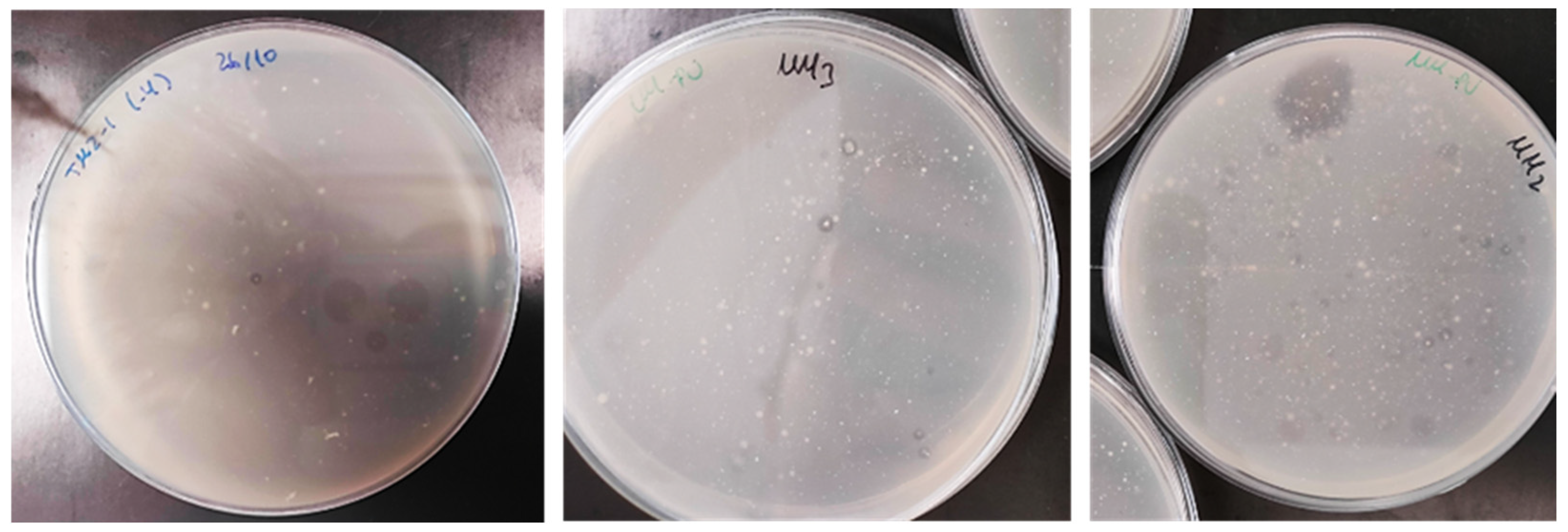 Biology 14 01307 g001 Biology 14 01307 g001