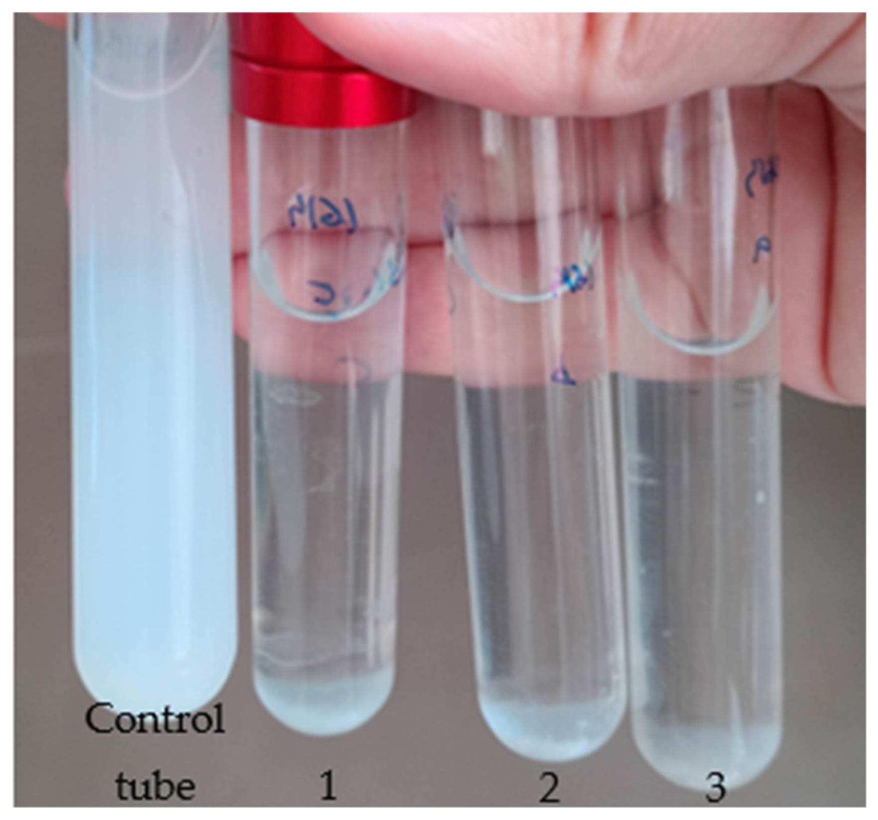 Biology 14 01307 g004 Biology 14 01307 g004