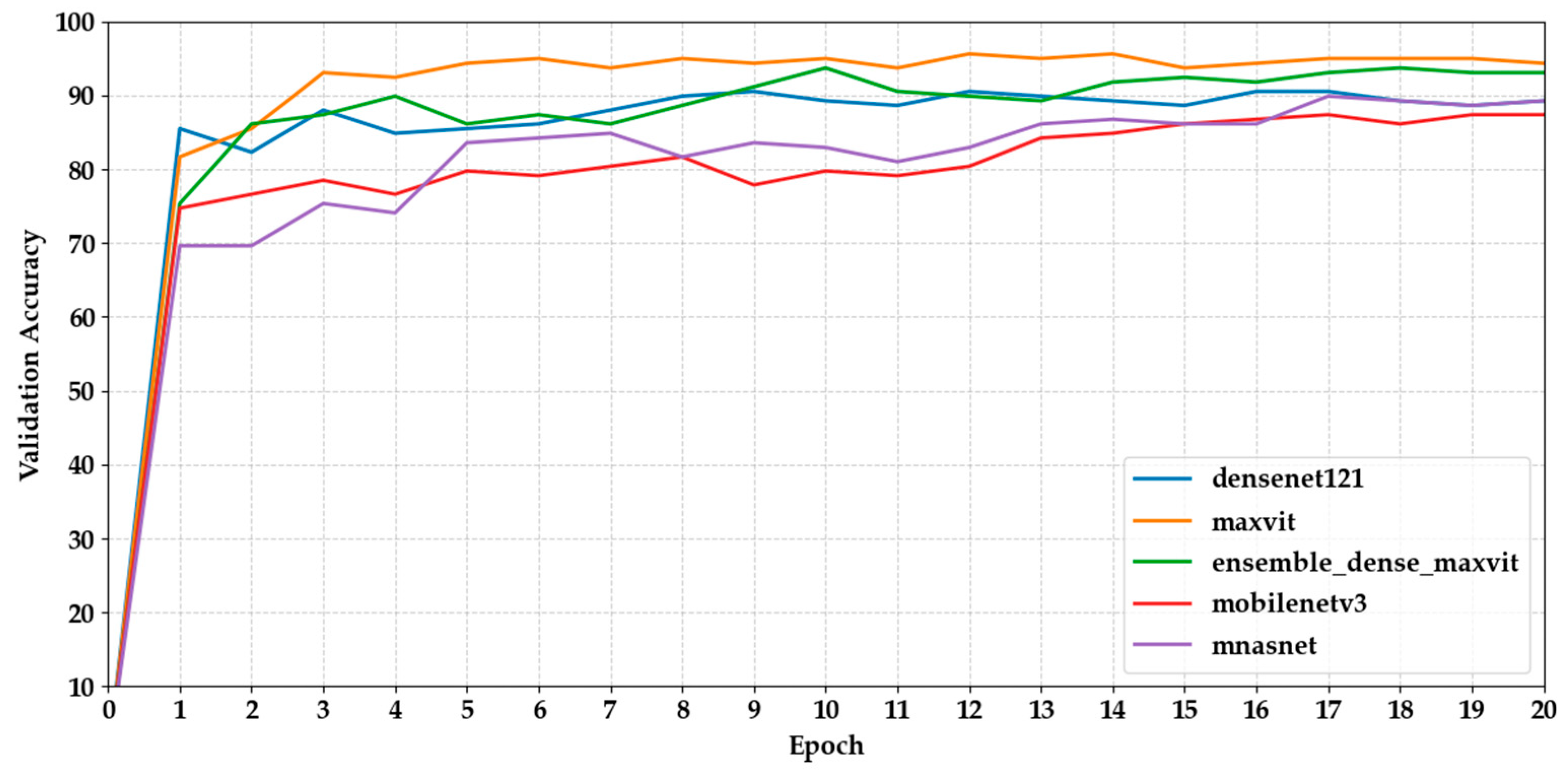 Biology 14 01313 g004