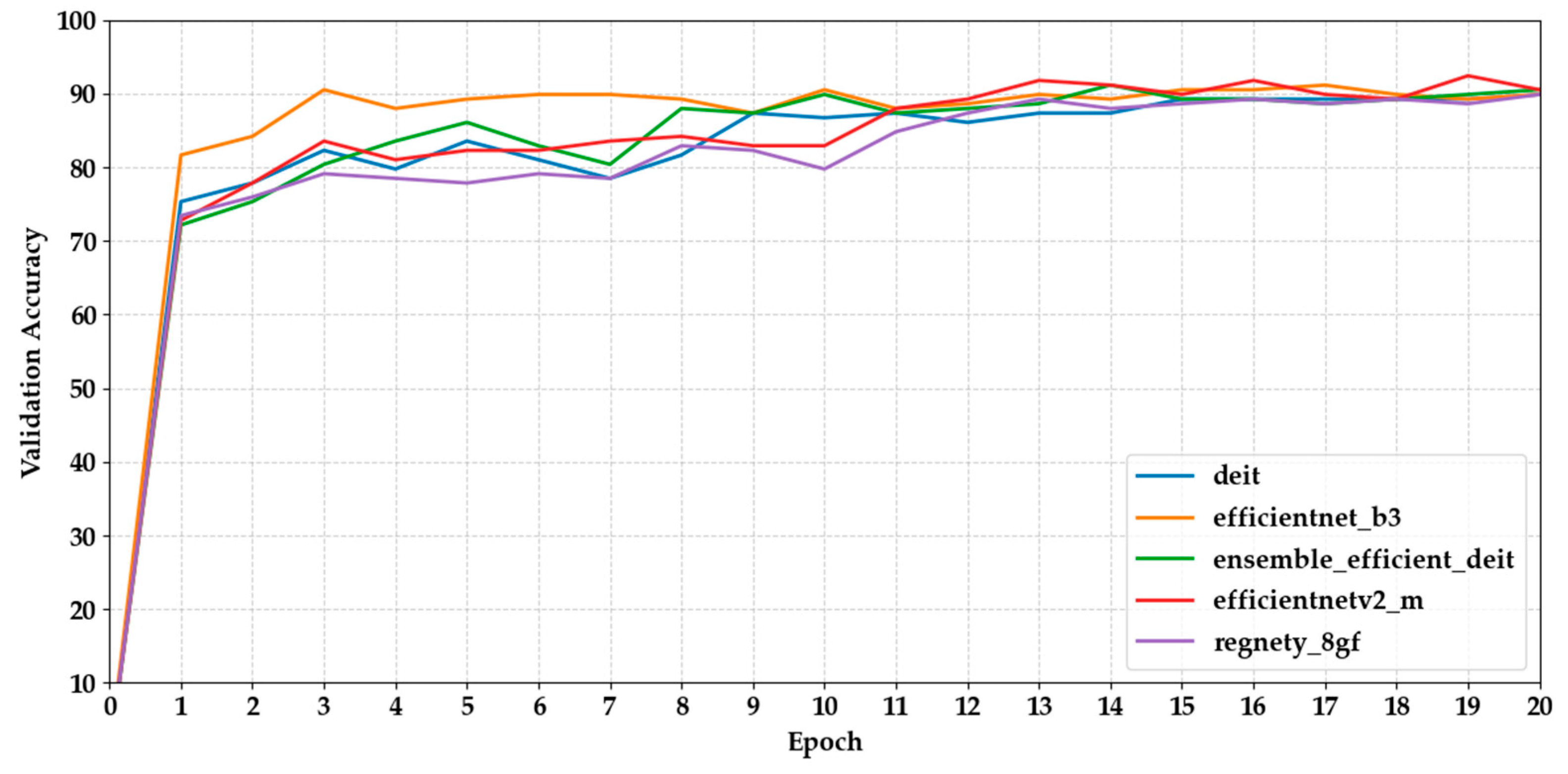 Biology 14 01313 g005