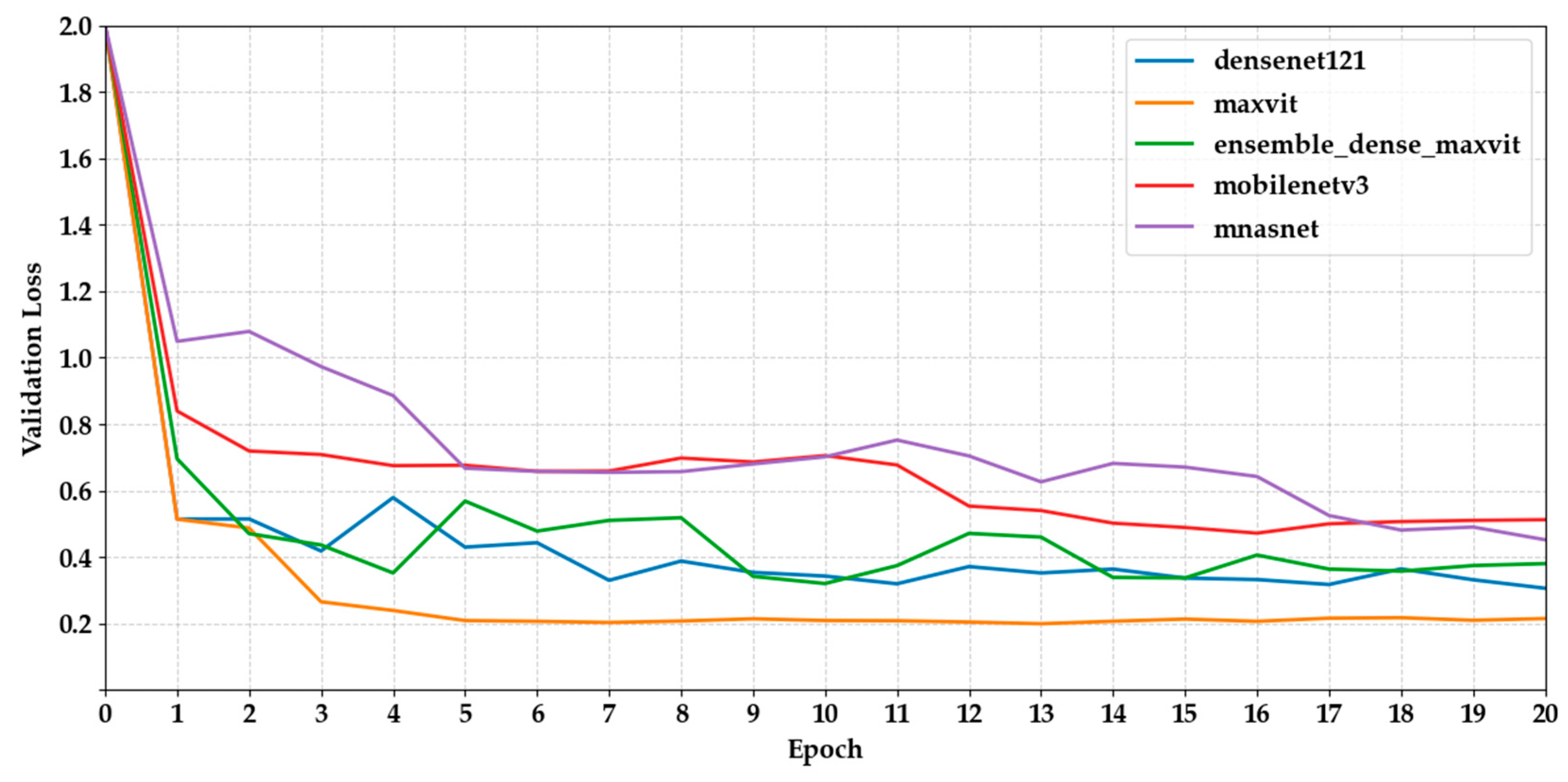 Biology 14 01313 g006