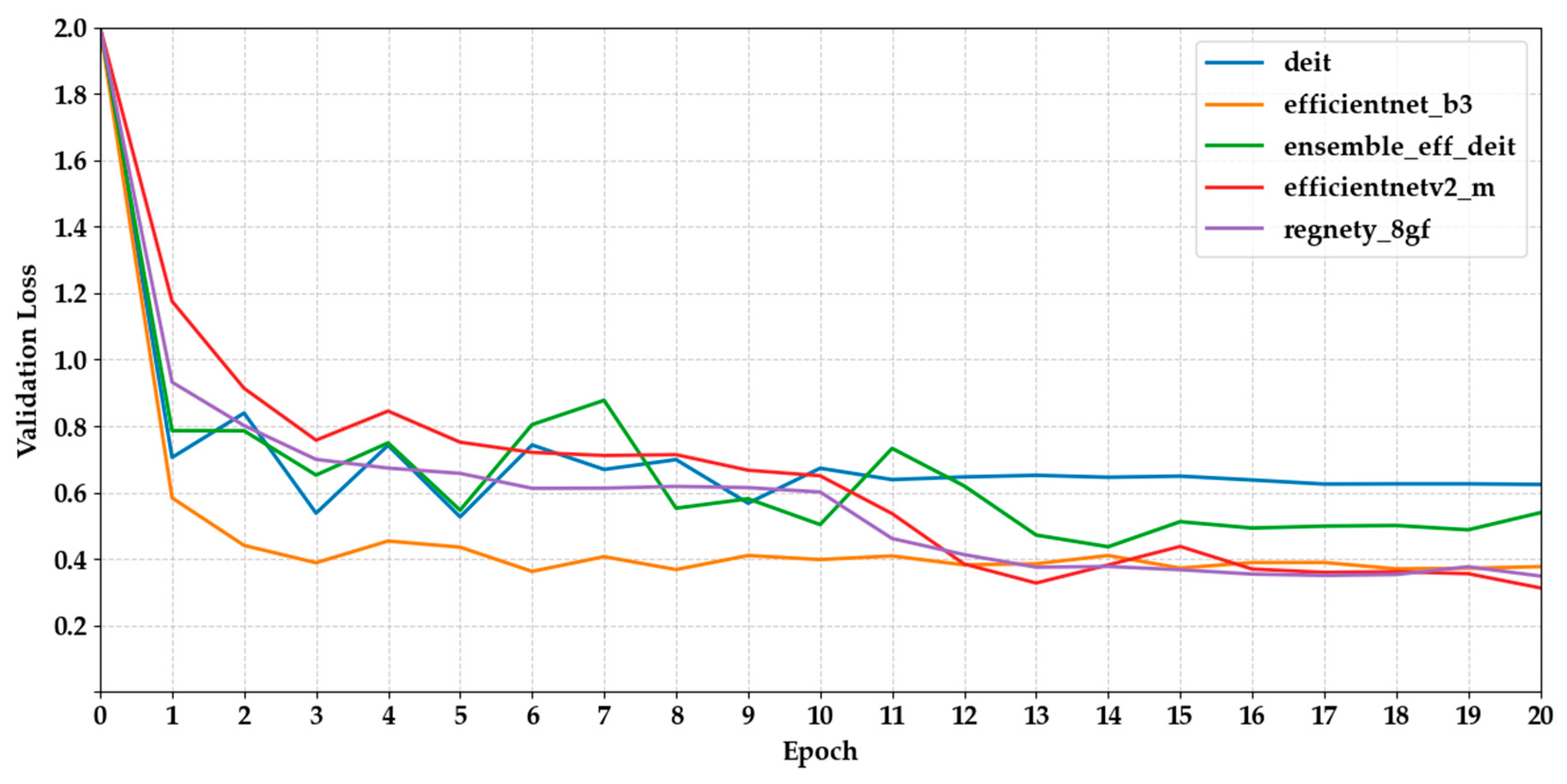Biology 14 01313 g007