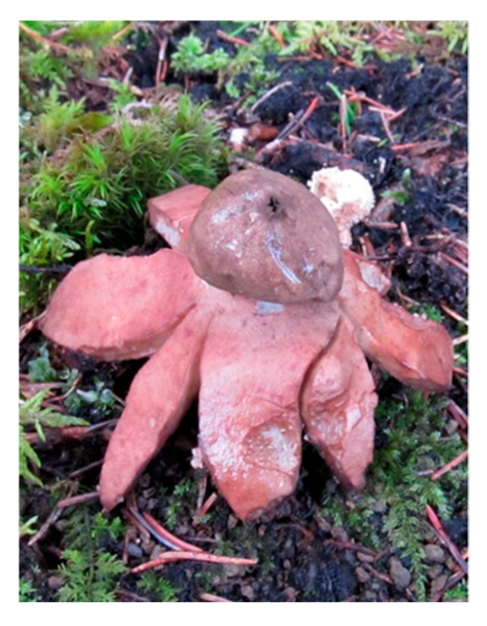 Biology 14 01313 g022