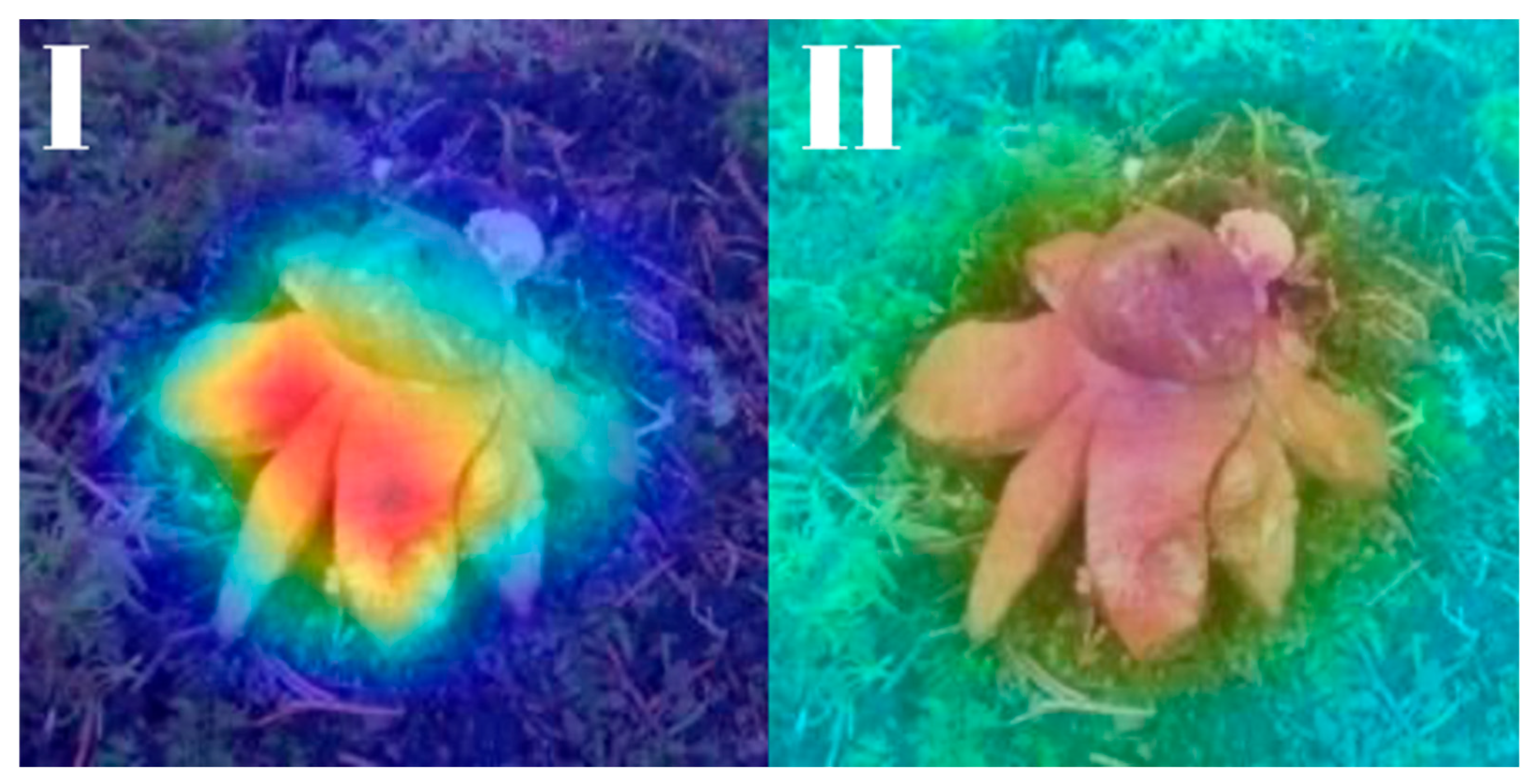 Biology 14 01313 g023