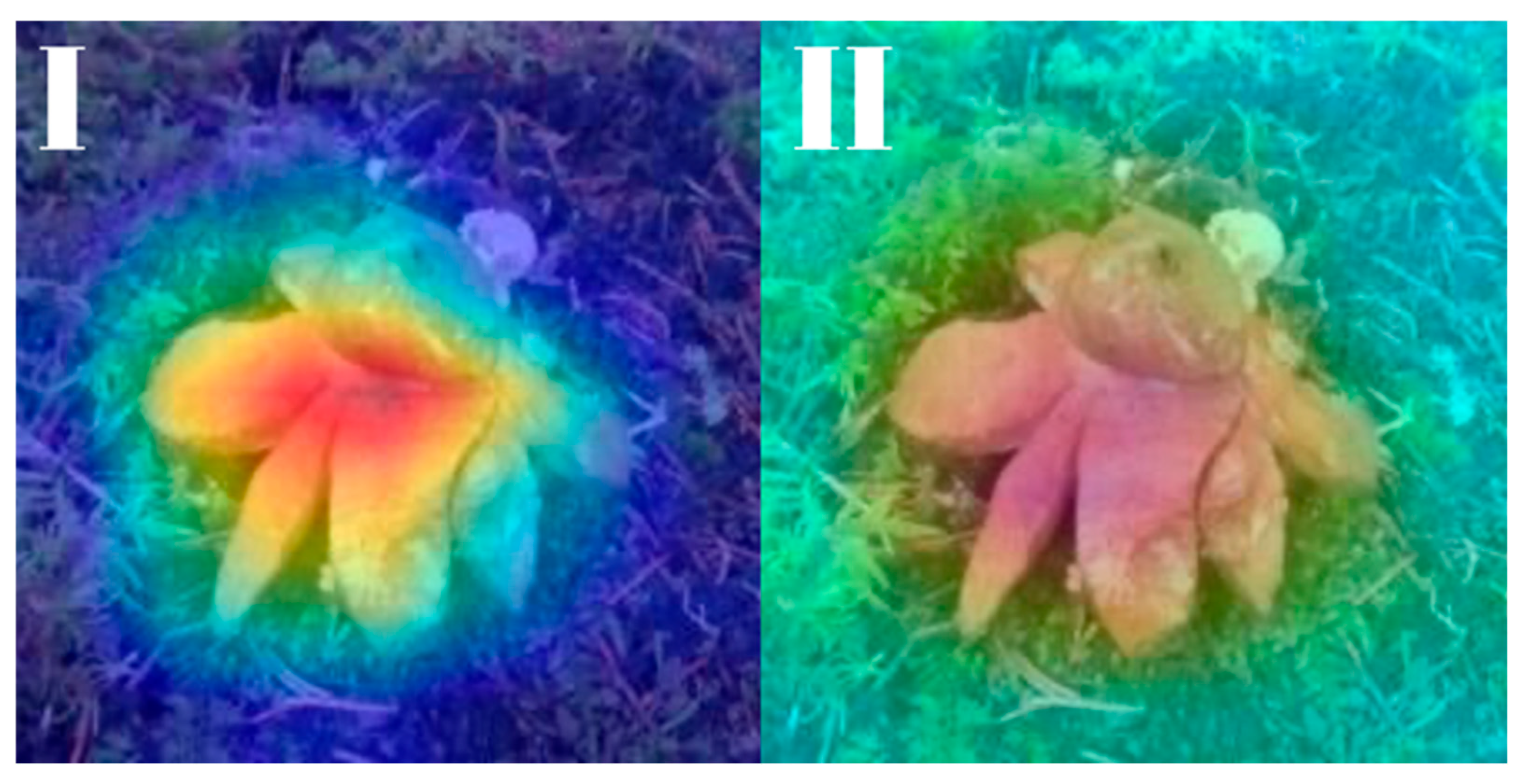 Biology 14 01313 g024