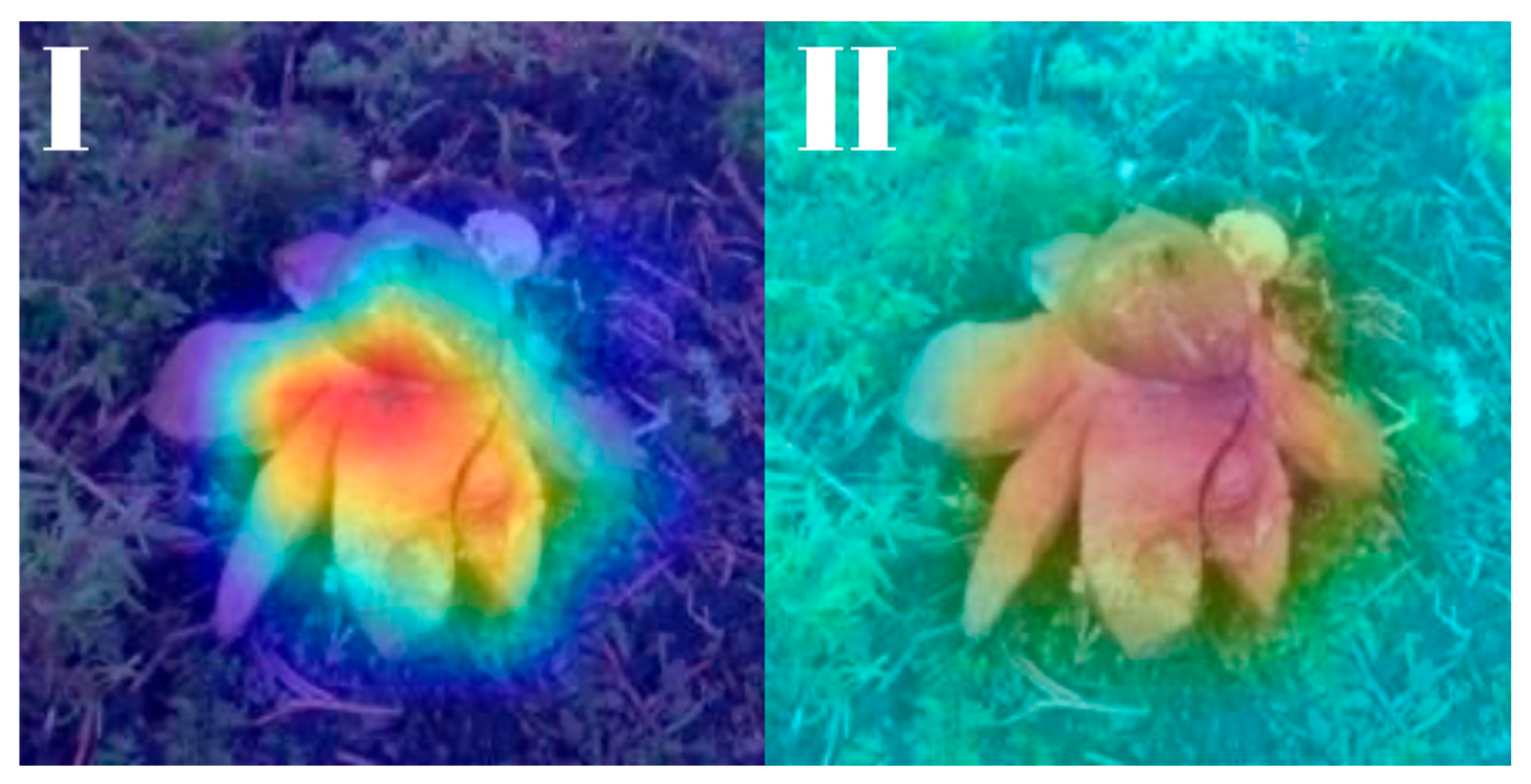 Biology 14 01313 g025