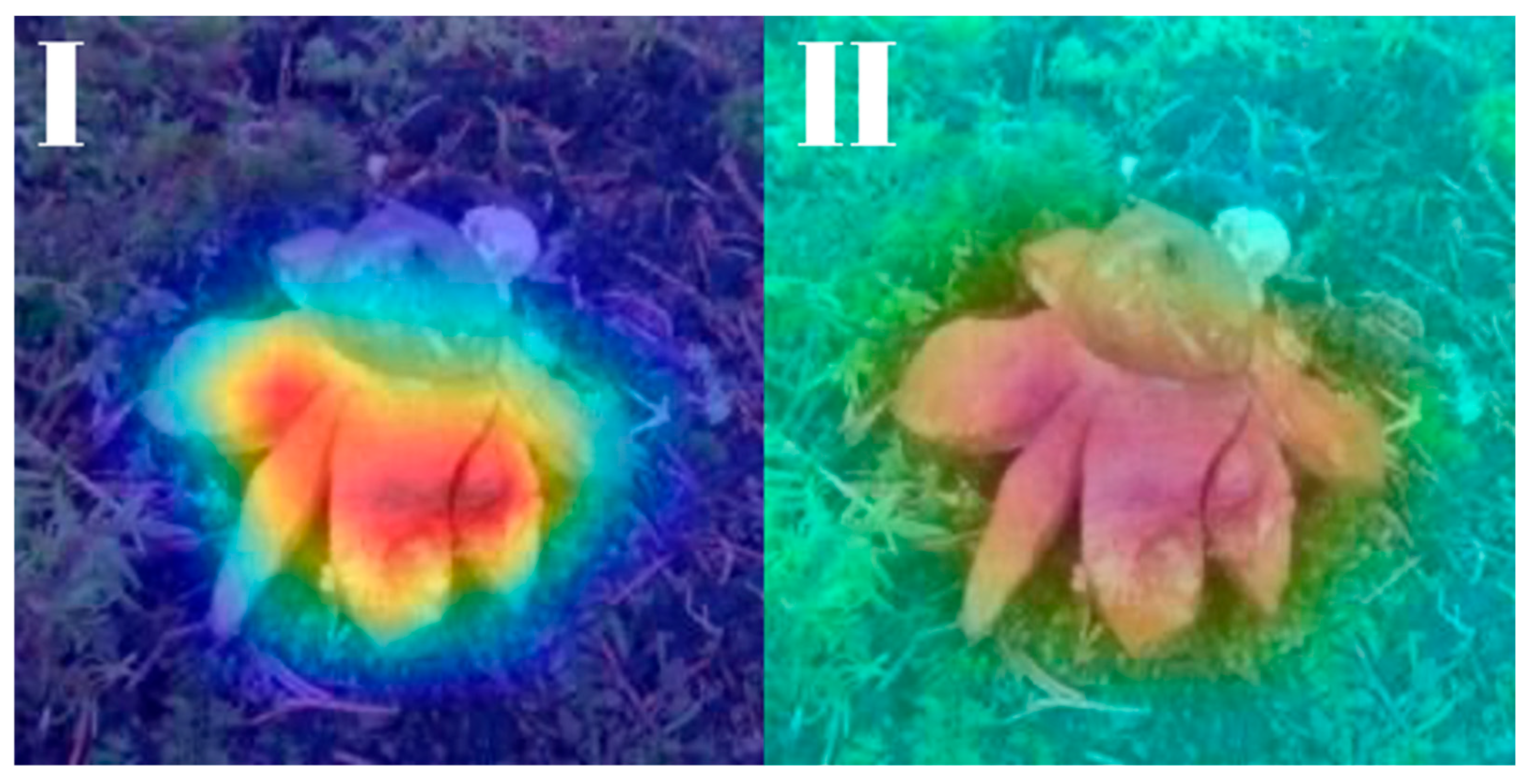 Biology 14 01313 g026