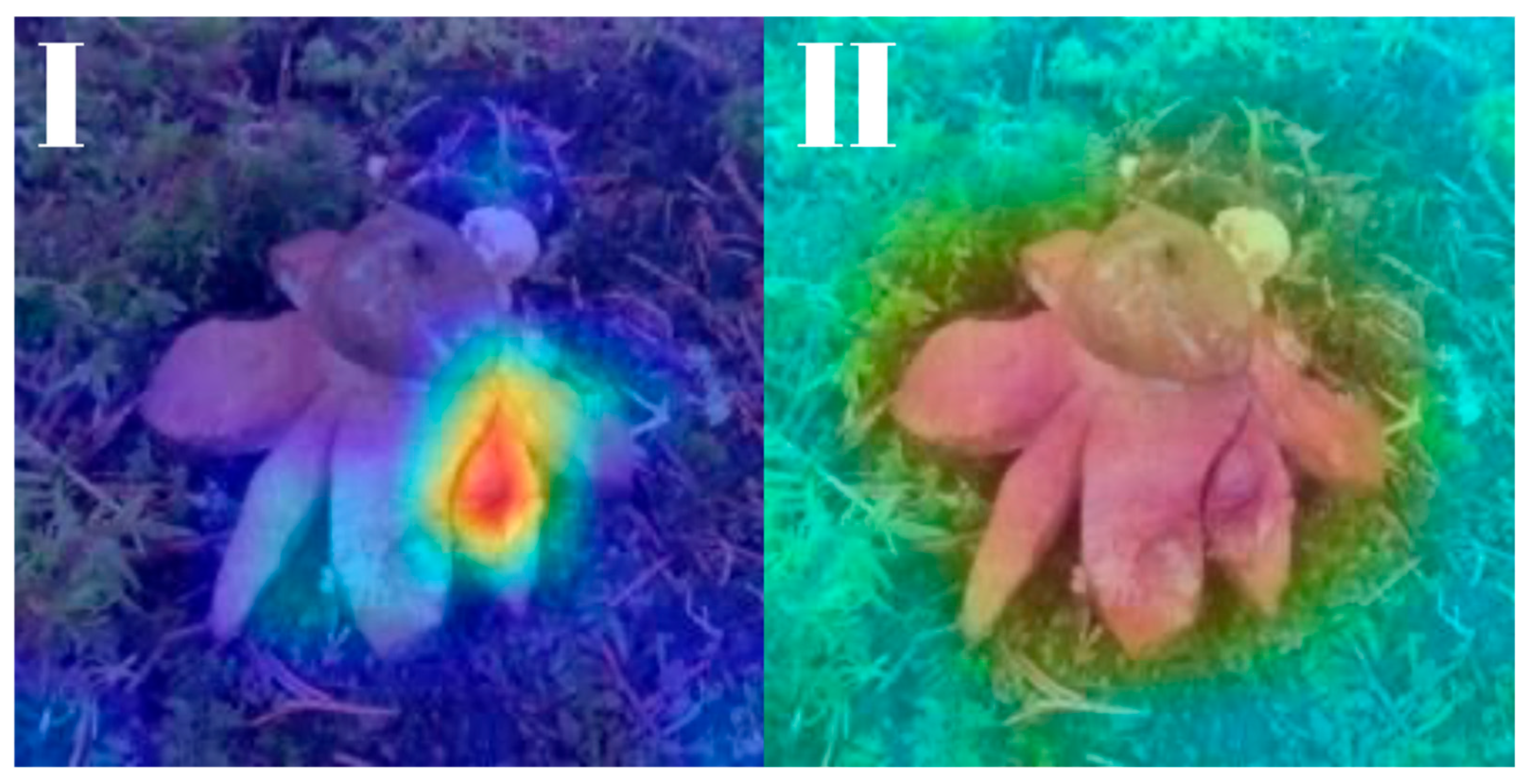 Biology 14 01313 g027